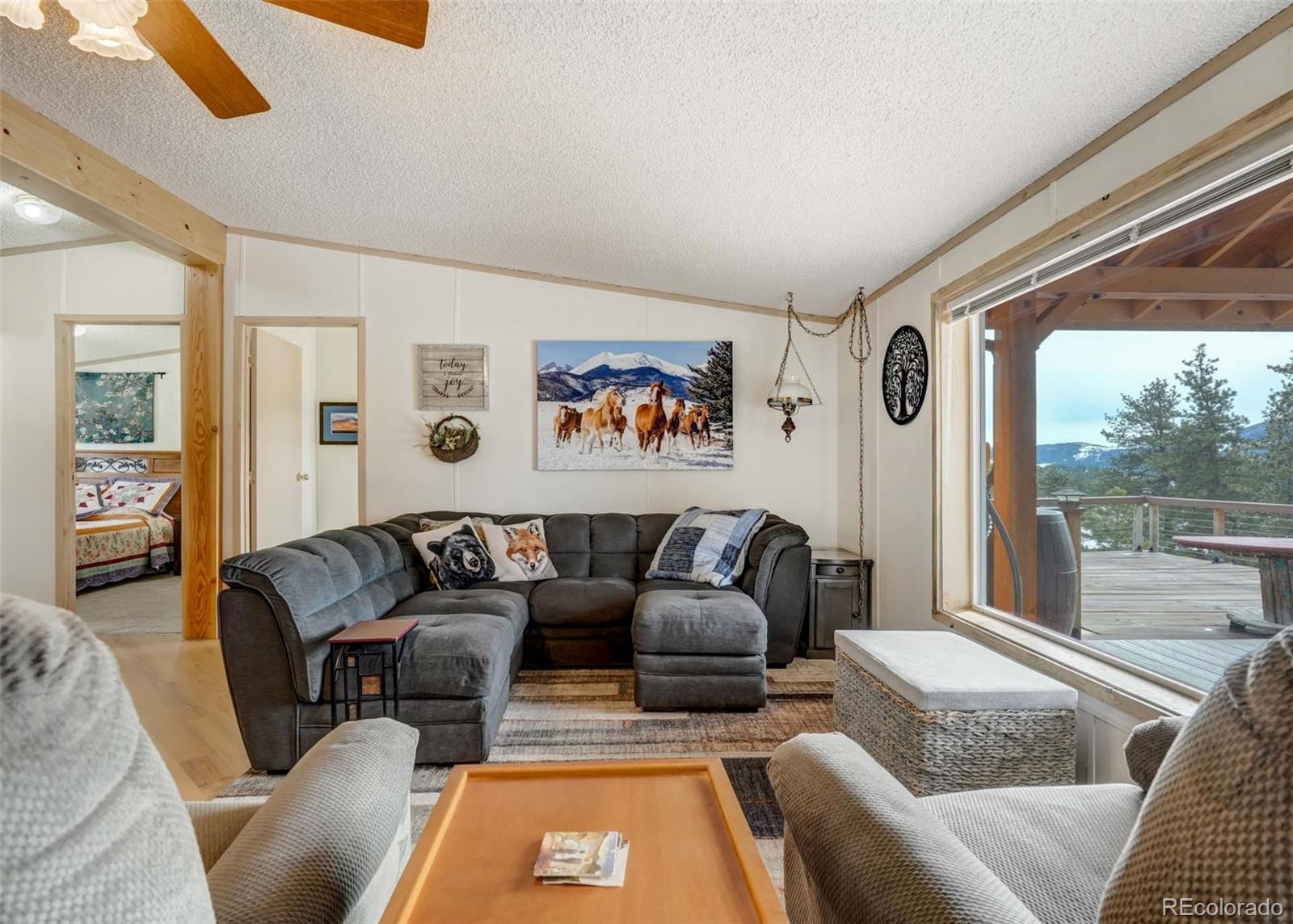 MLS Image #10 for 530  cougar lane,guffey, Colorado