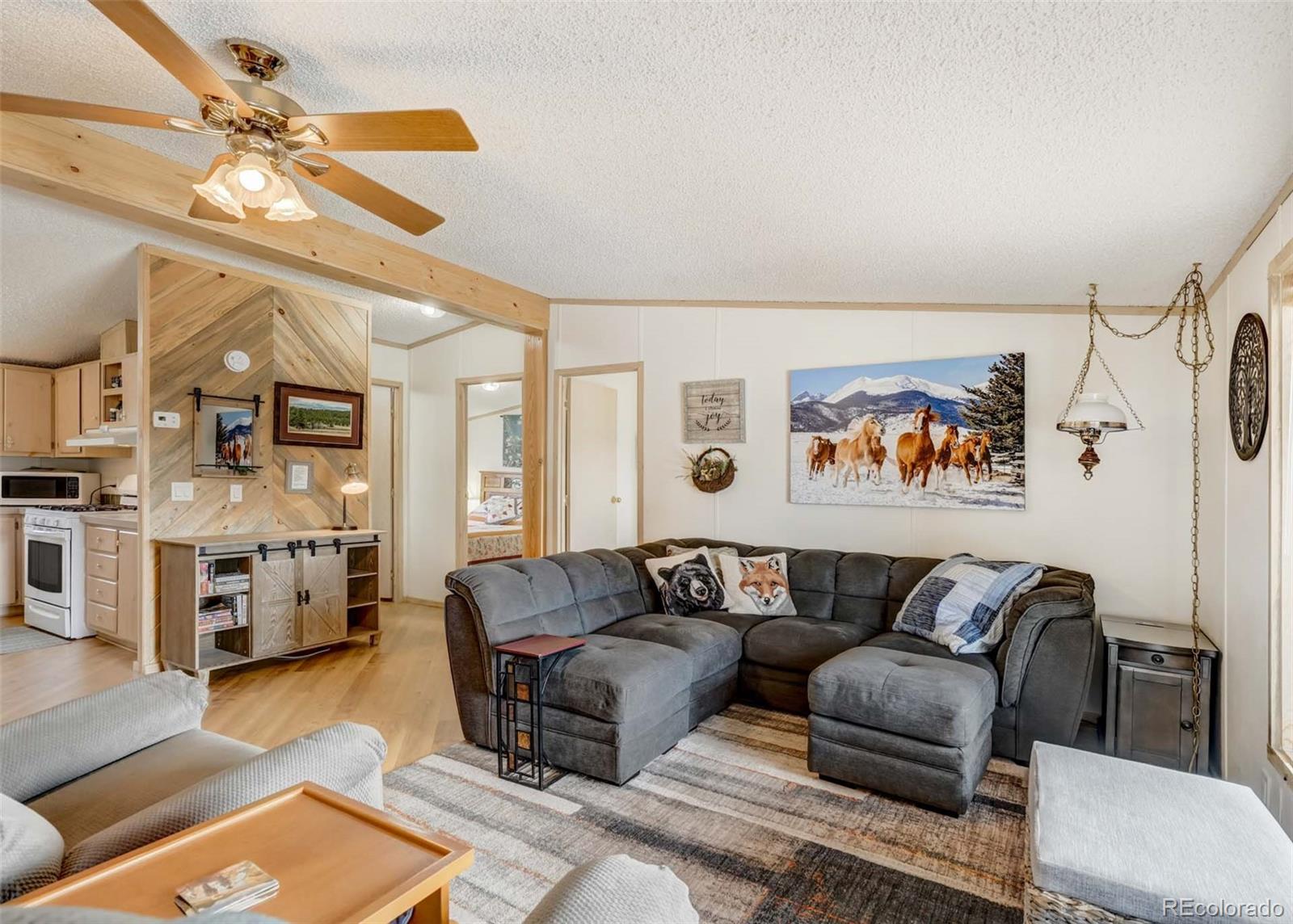 MLS Image #11 for 530  cougar lane,guffey, Colorado