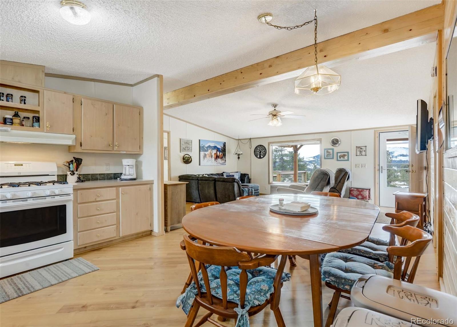 MLS Image #17 for 530  cougar lane,guffey, Colorado