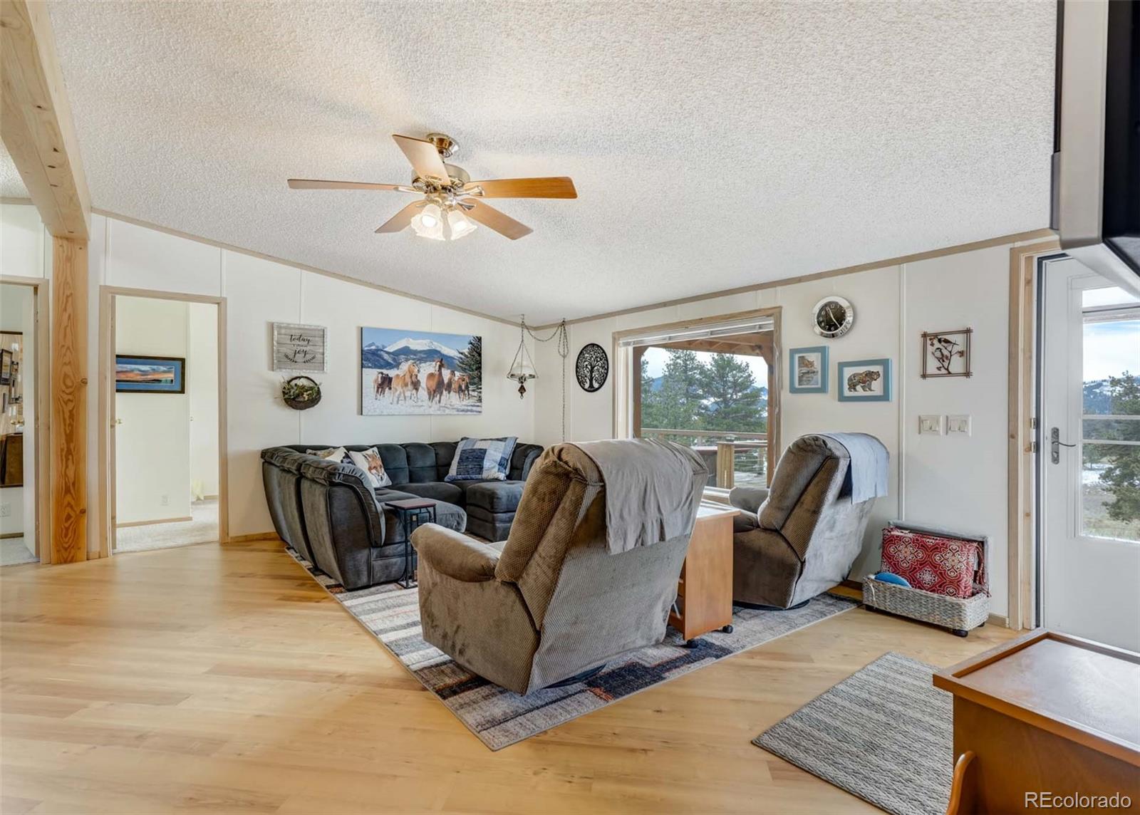 MLS Image #24 for 530  cougar lane,guffey, Colorado