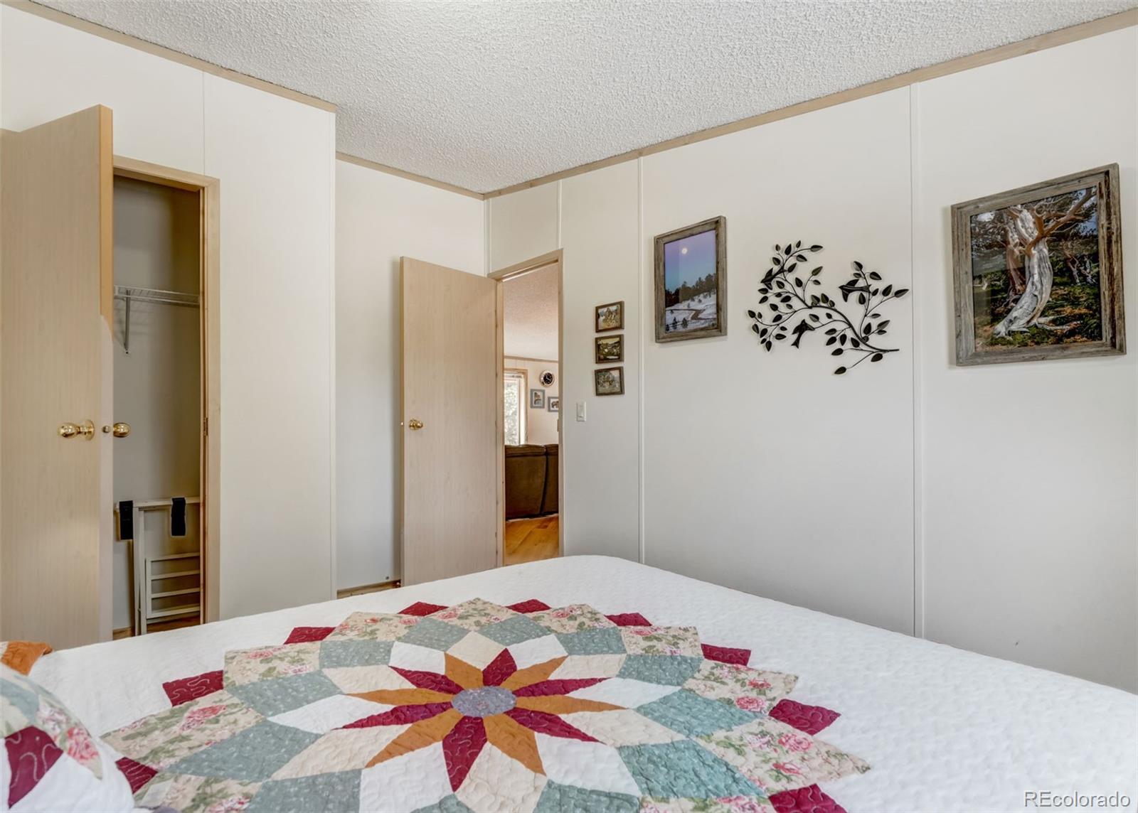 MLS Image #29 for 530  cougar lane,guffey, Colorado