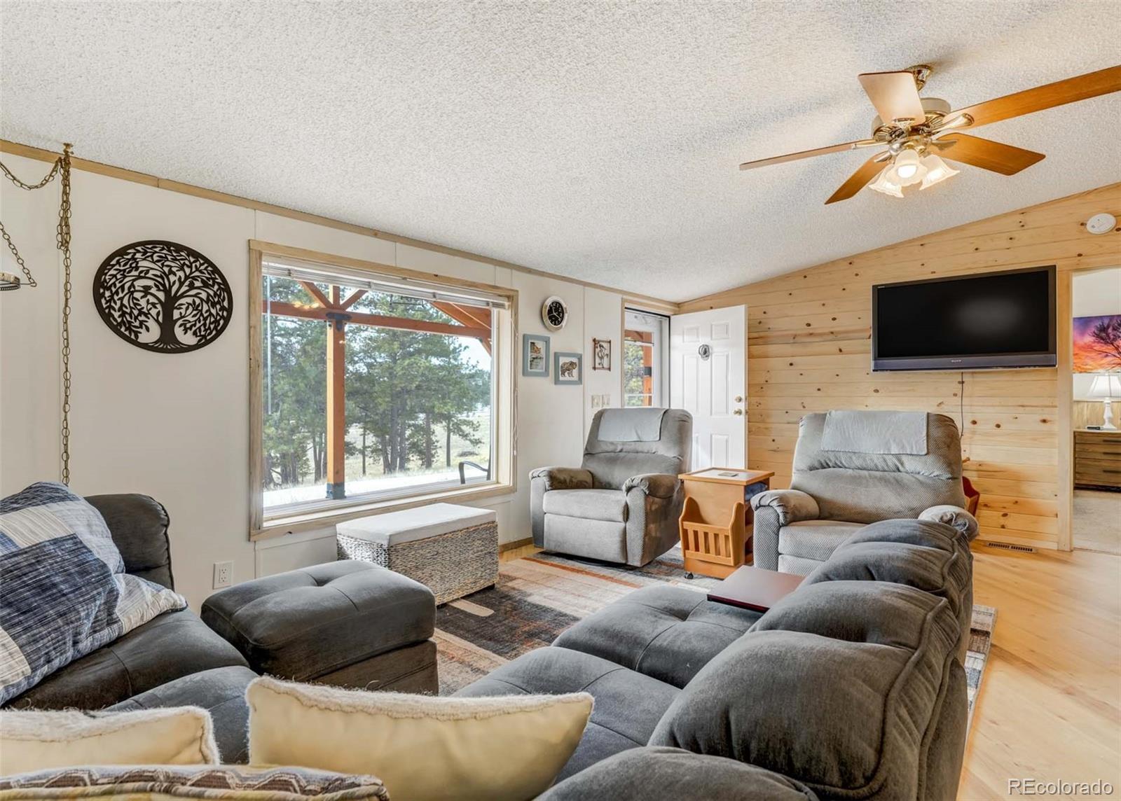 MLS Image #8 for 530  cougar lane,guffey, Colorado