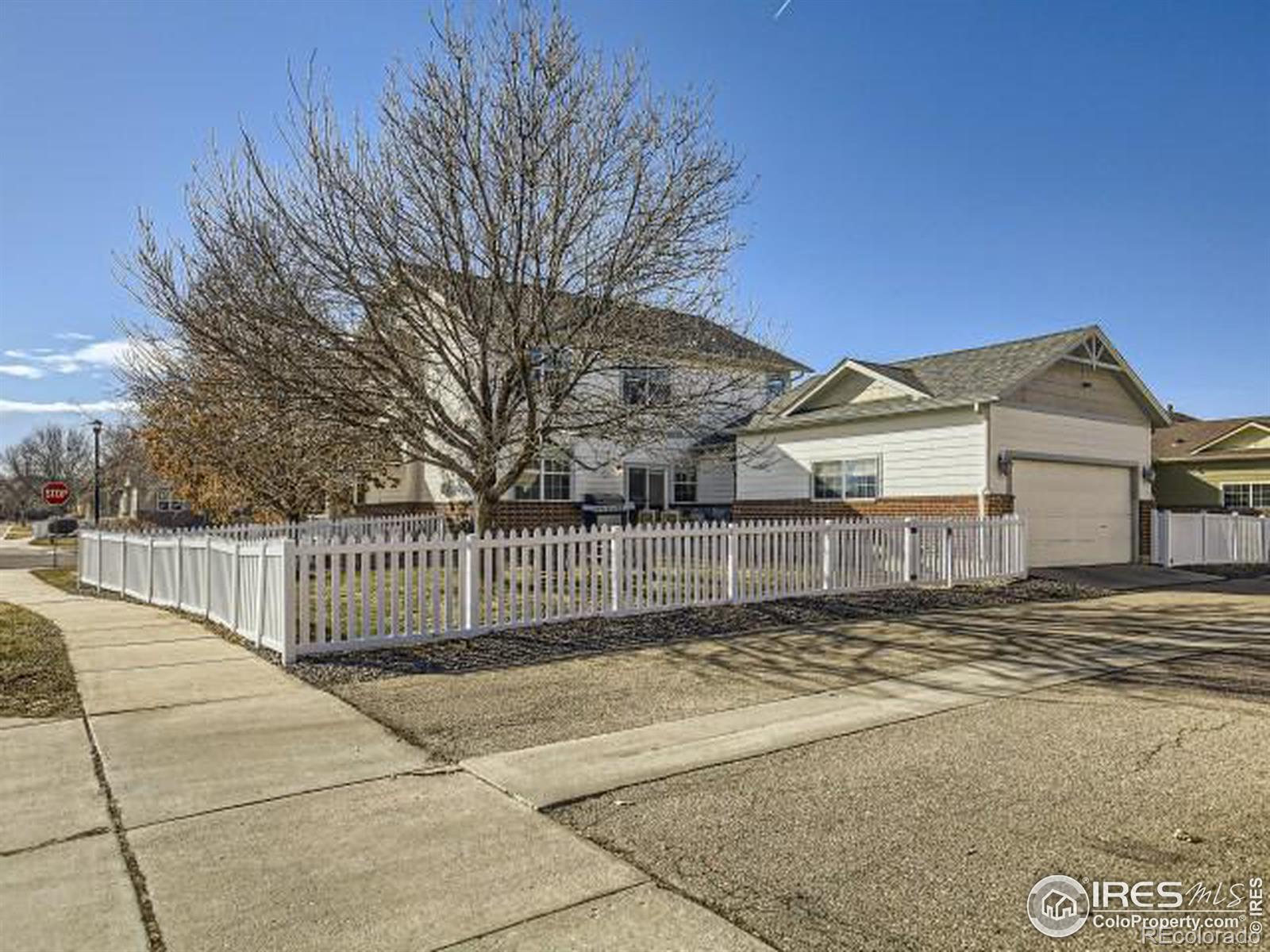 MLS Image #24 for 228  homestead parkway,longmont, Colorado