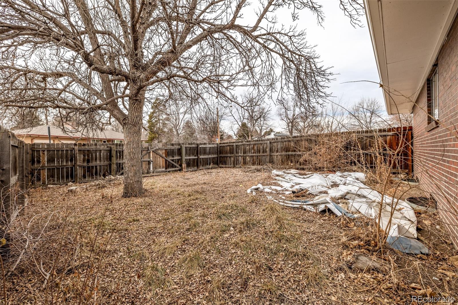 MLS Image #36 for 400  dover street,lakewood, Colorado