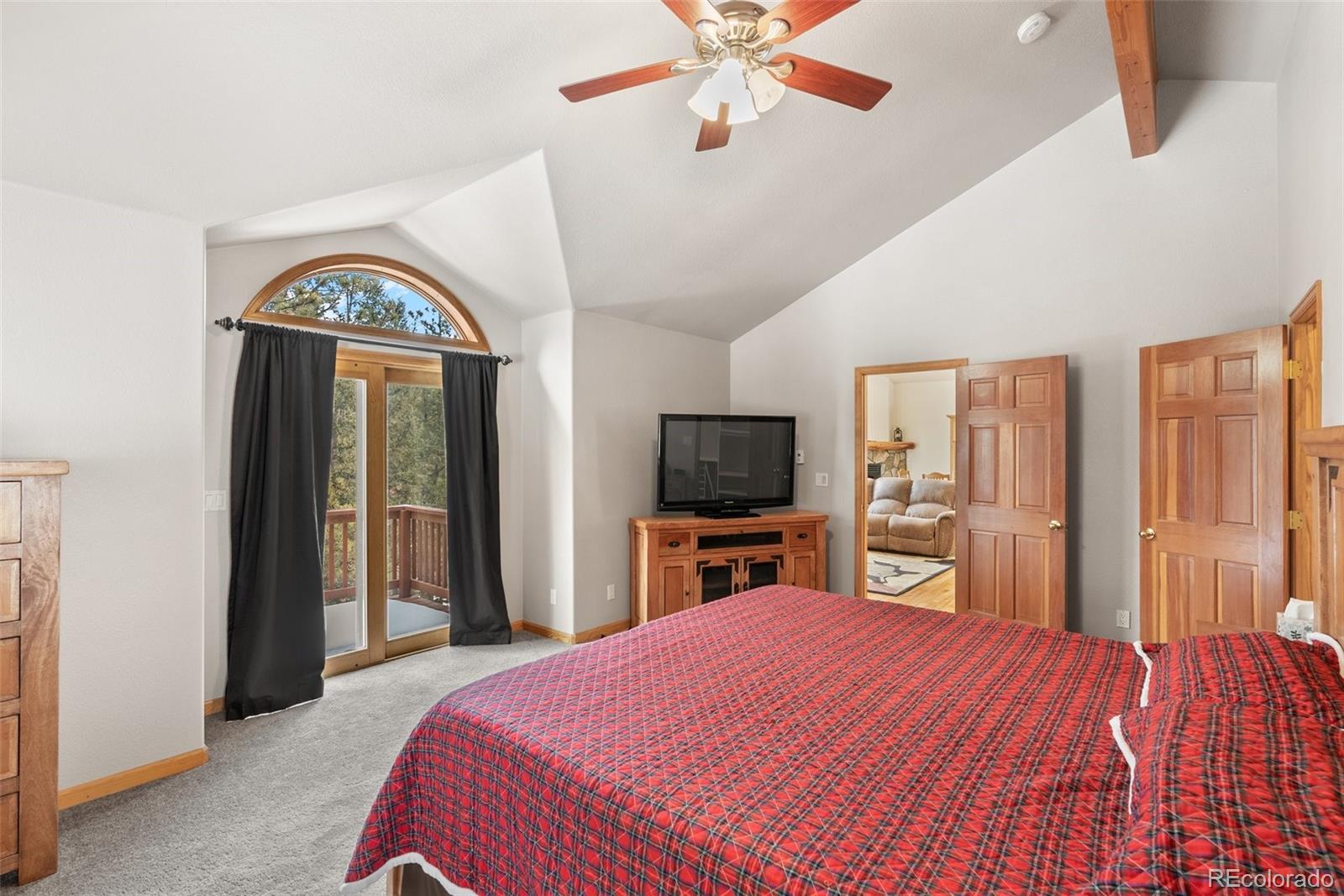 MLS Image #21 for 502  county road 1034 ,bailey, Colorado