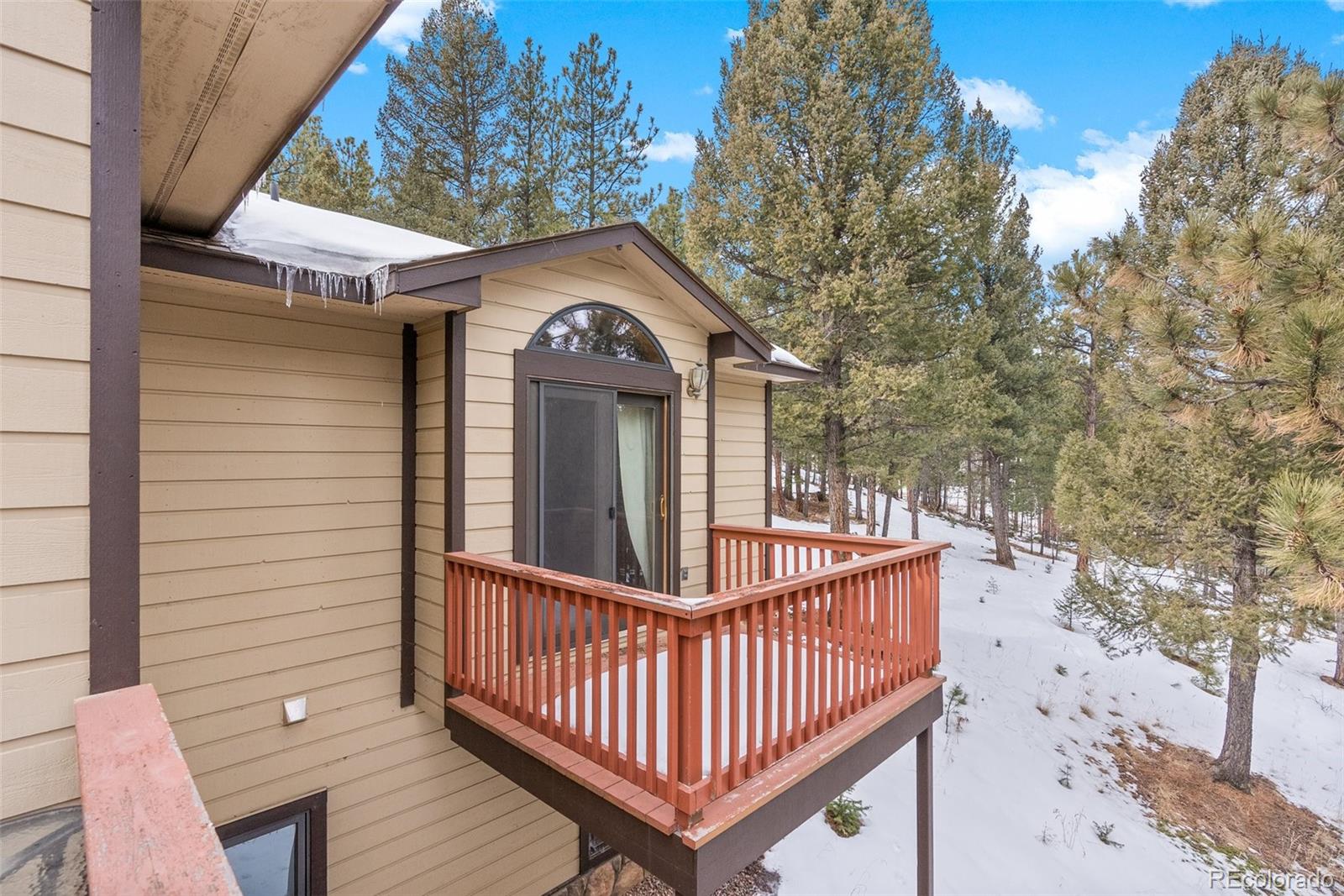 MLS Image #23 for 502  county road 1034 ,bailey, Colorado