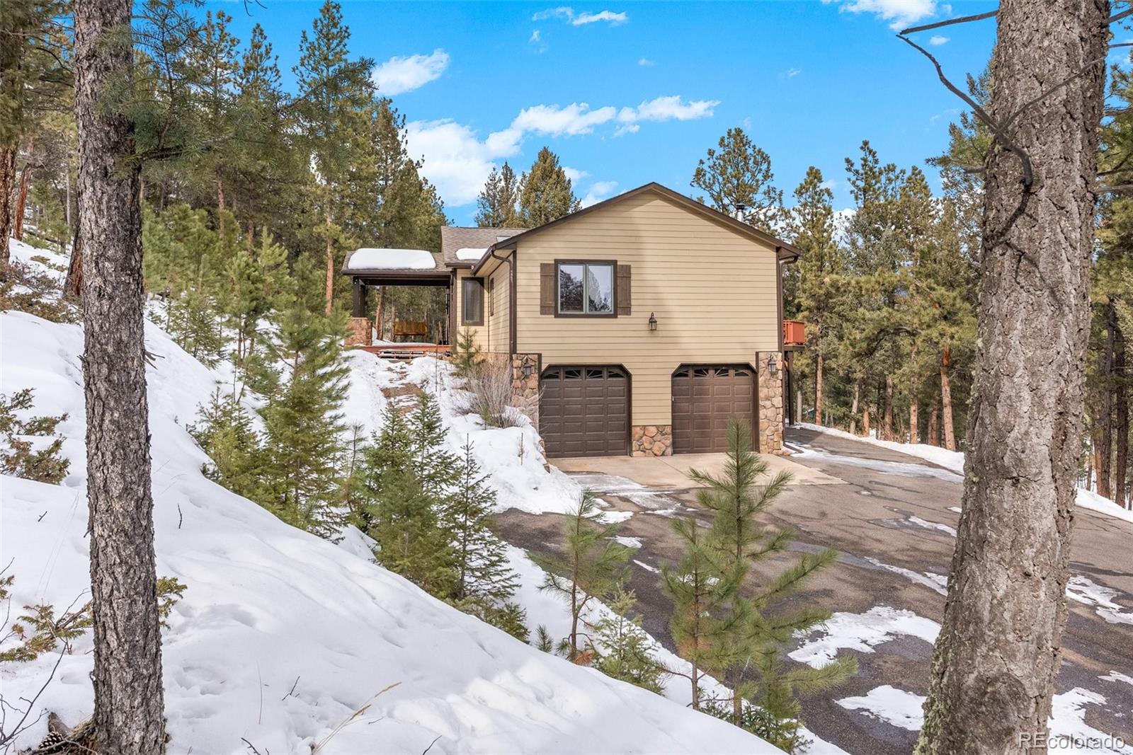 MLS Image #42 for 502  county road 1034 ,bailey, Colorado