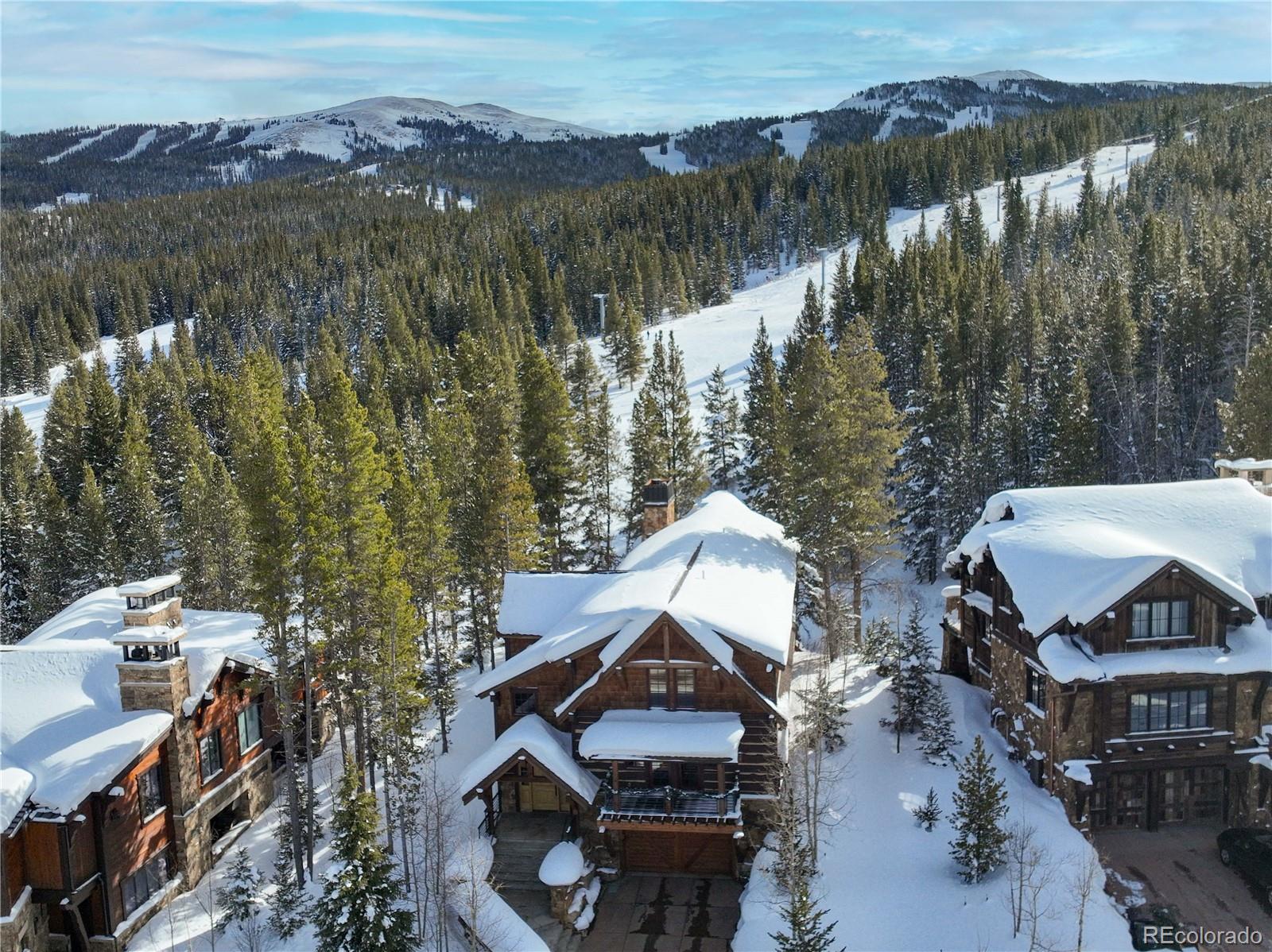 MLS Image #1 for 1102  beeler place,copper mountain, Colorado