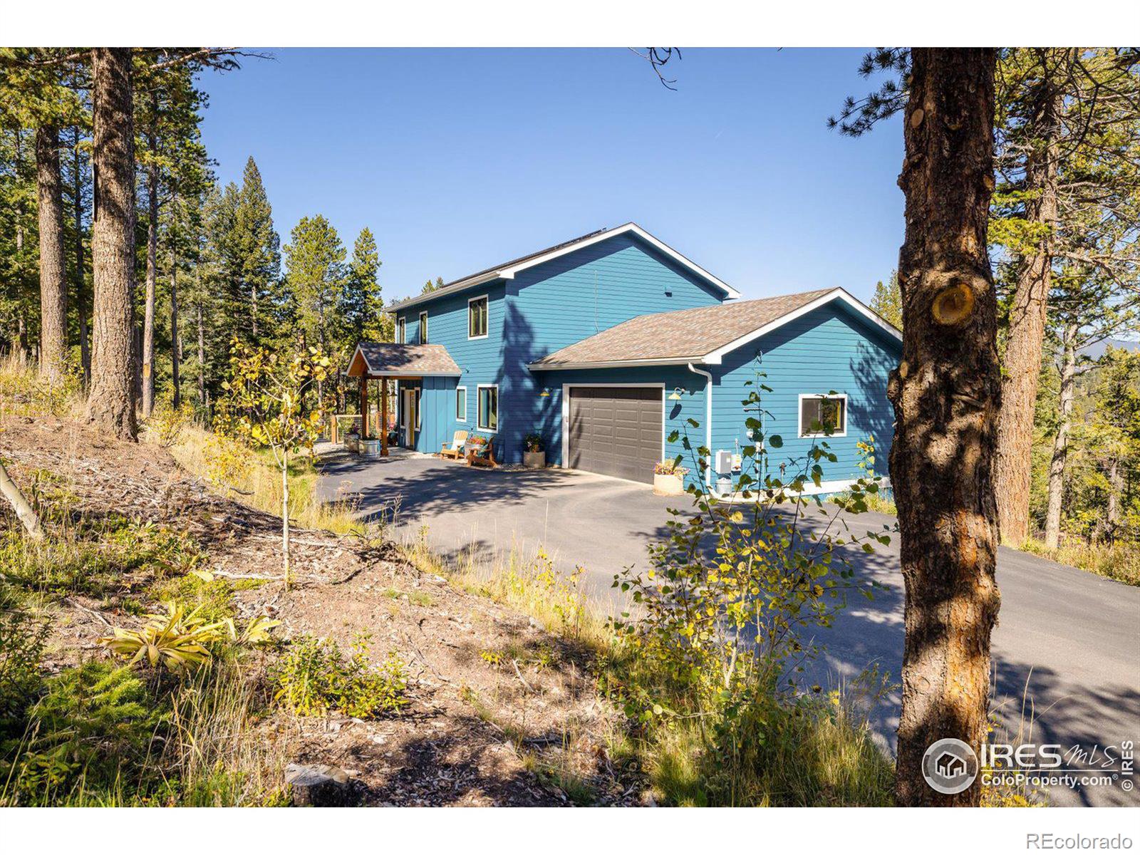 Report Image for 76  Blue Spruce Drive,Nederland, Colorado