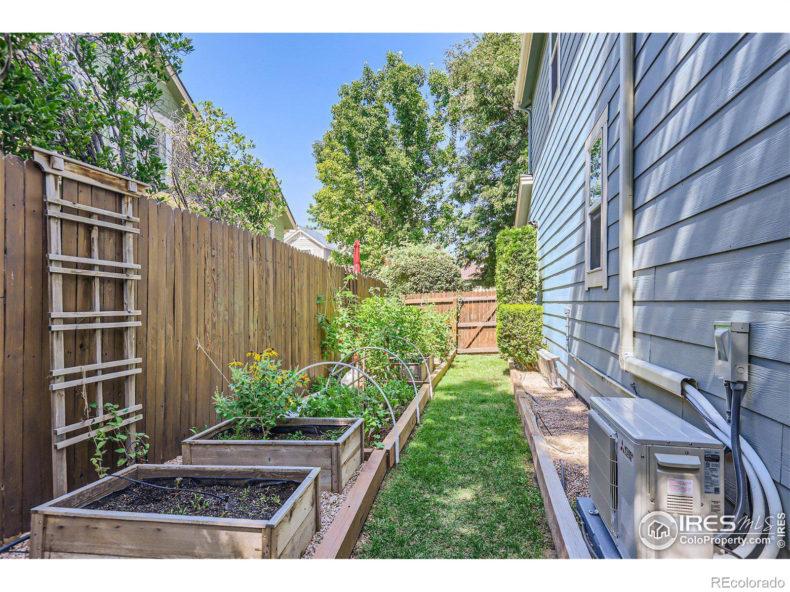 MLS Image #21 for 1601  bluefield avenue,longmont, Colorado