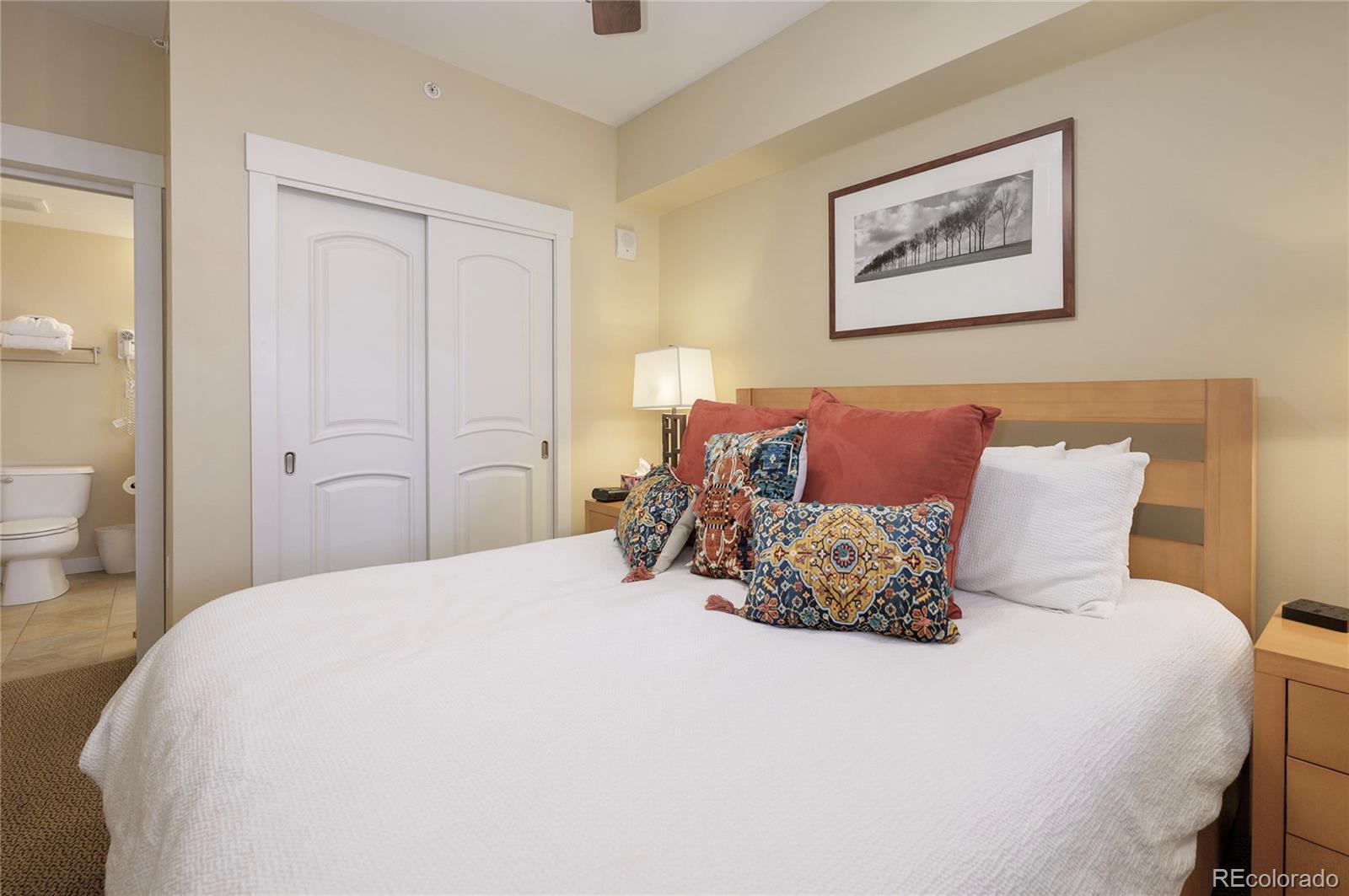 MLS Image #16 for 580  winter park drive,winter park, Colorado