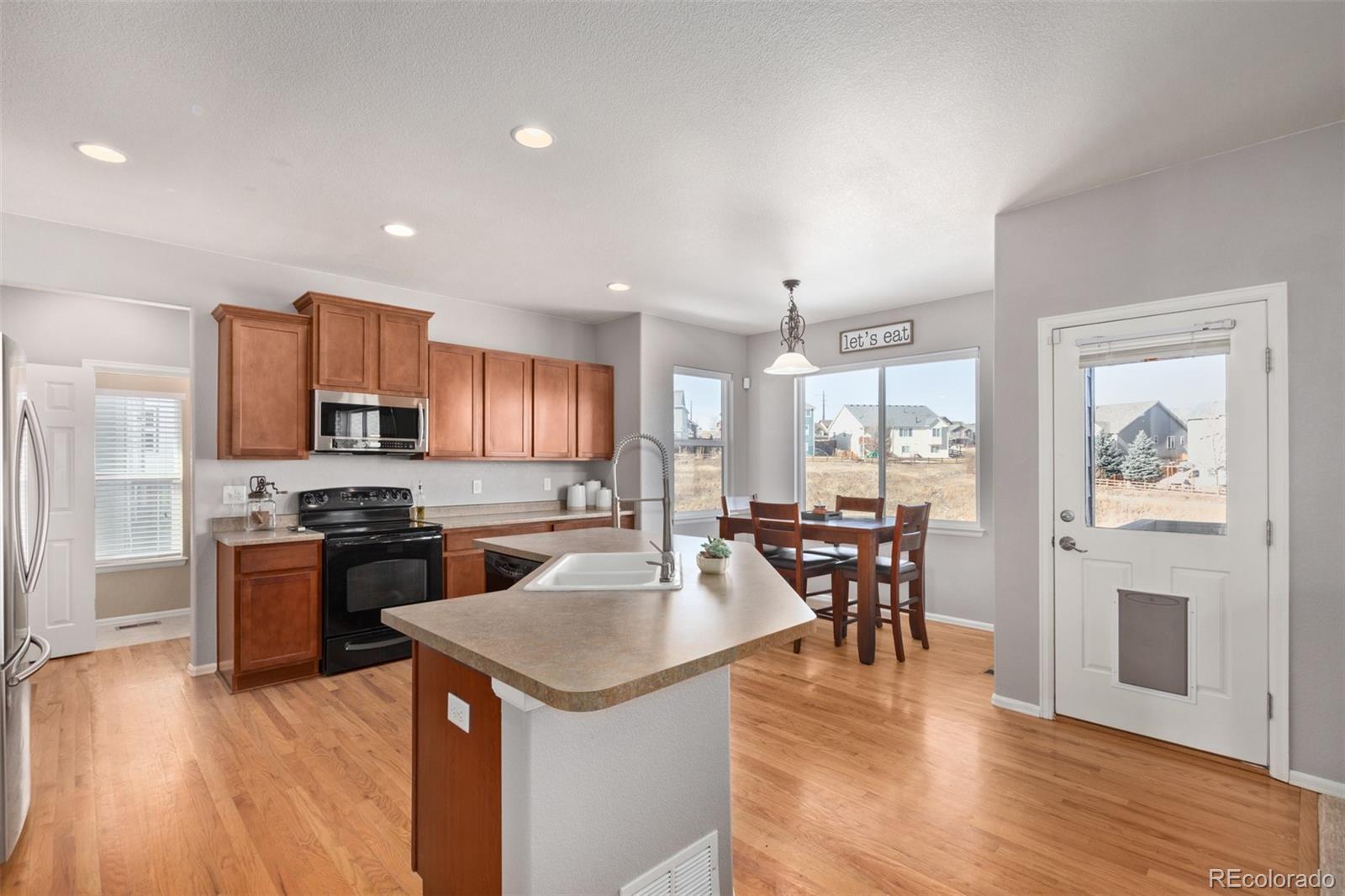 MLS Image #11 for 3655  amber sun circle,castle rock, Colorado