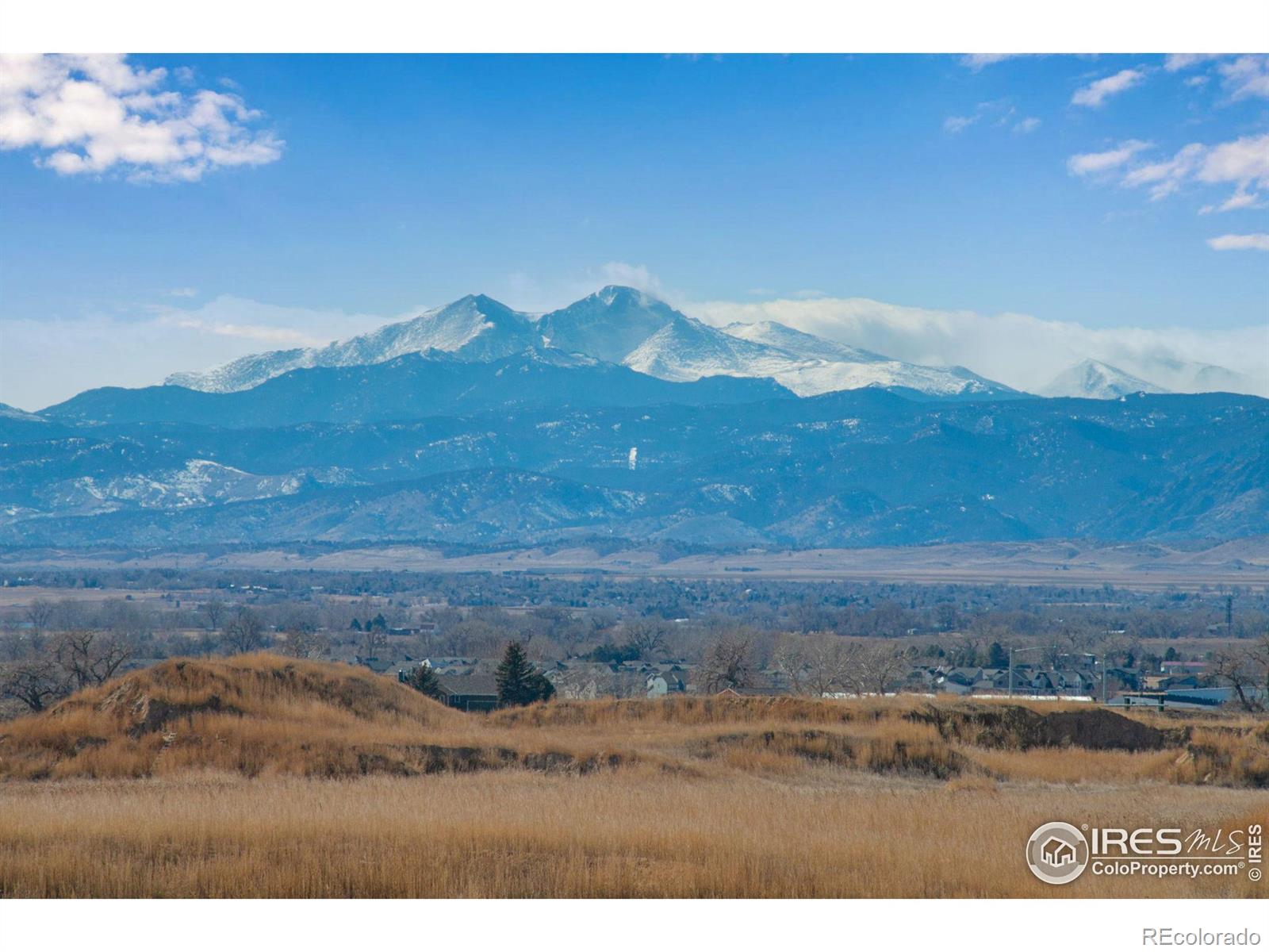 Report Image for 1699  Corby Drive,Windsor, Colorado