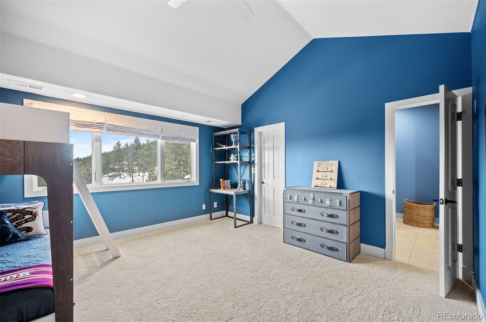 MLS Image #28 for 1355  crested butte court,evergreen, Colorado