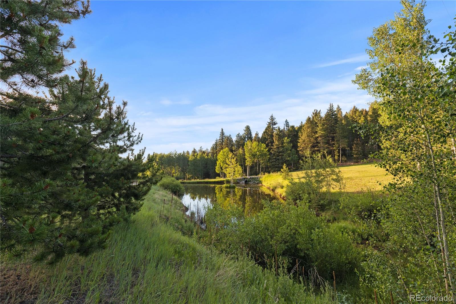 MLS Image #33 for 27356  kennedy gulch road,conifer, Colorado