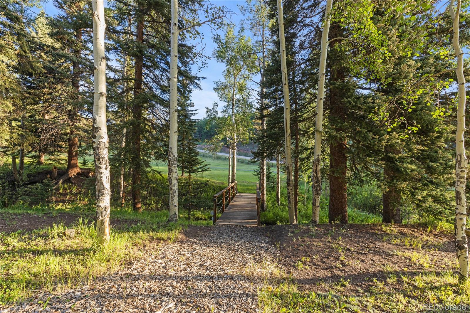 MLS Image #43 for 27356  kennedy gulch road,conifer, Colorado