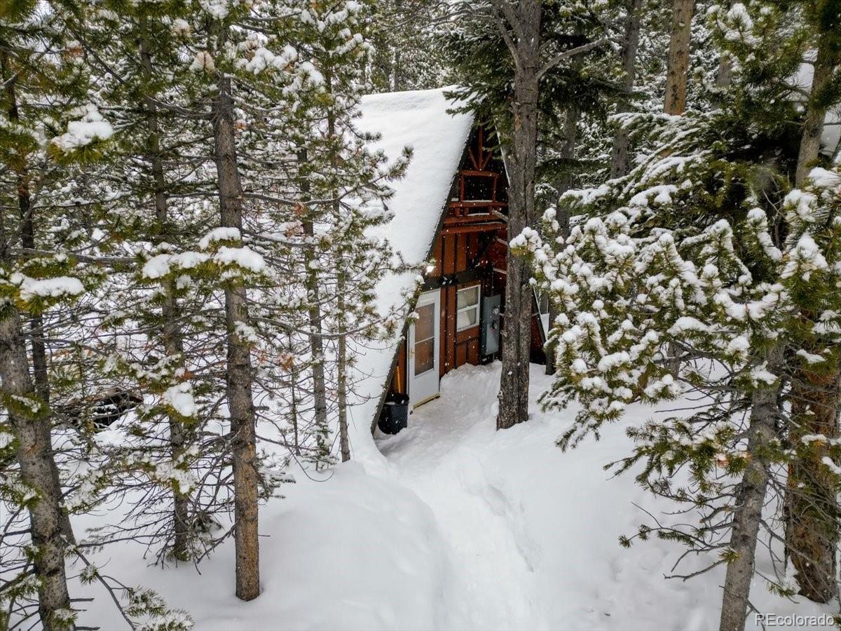 MLS Image #2 for 199  crest drive,idaho springs, Colorado