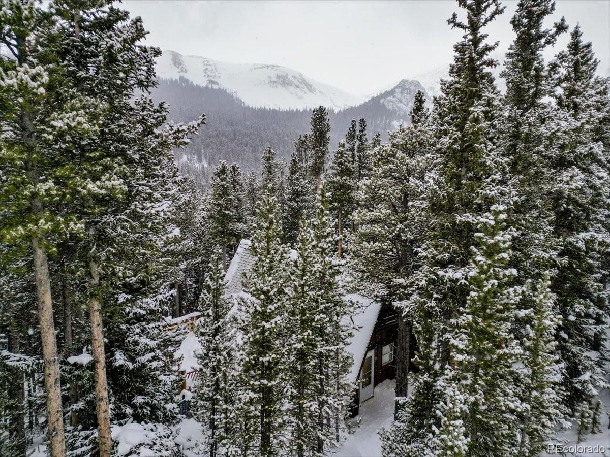 MLS Image #24 for 199  crest drive,idaho springs, Colorado