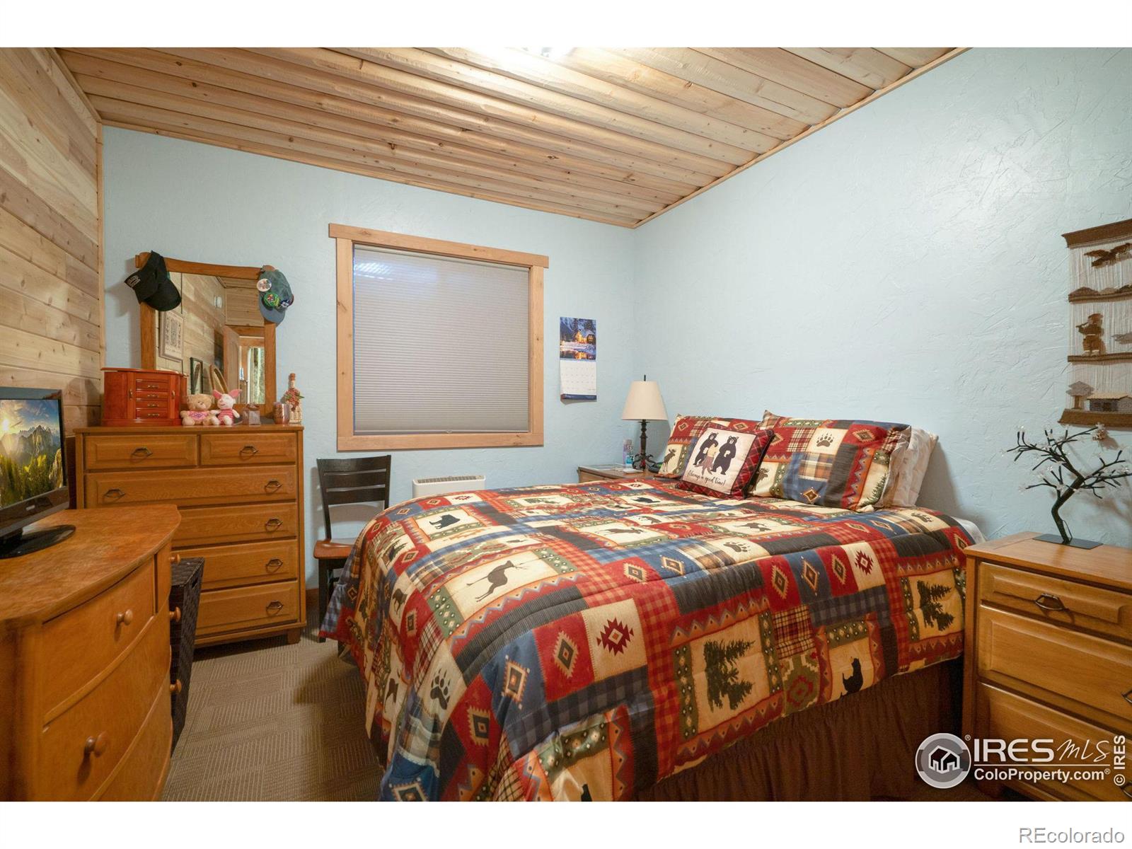 MLS Image #24 for 1121  osage trail,red feather lakes, Colorado