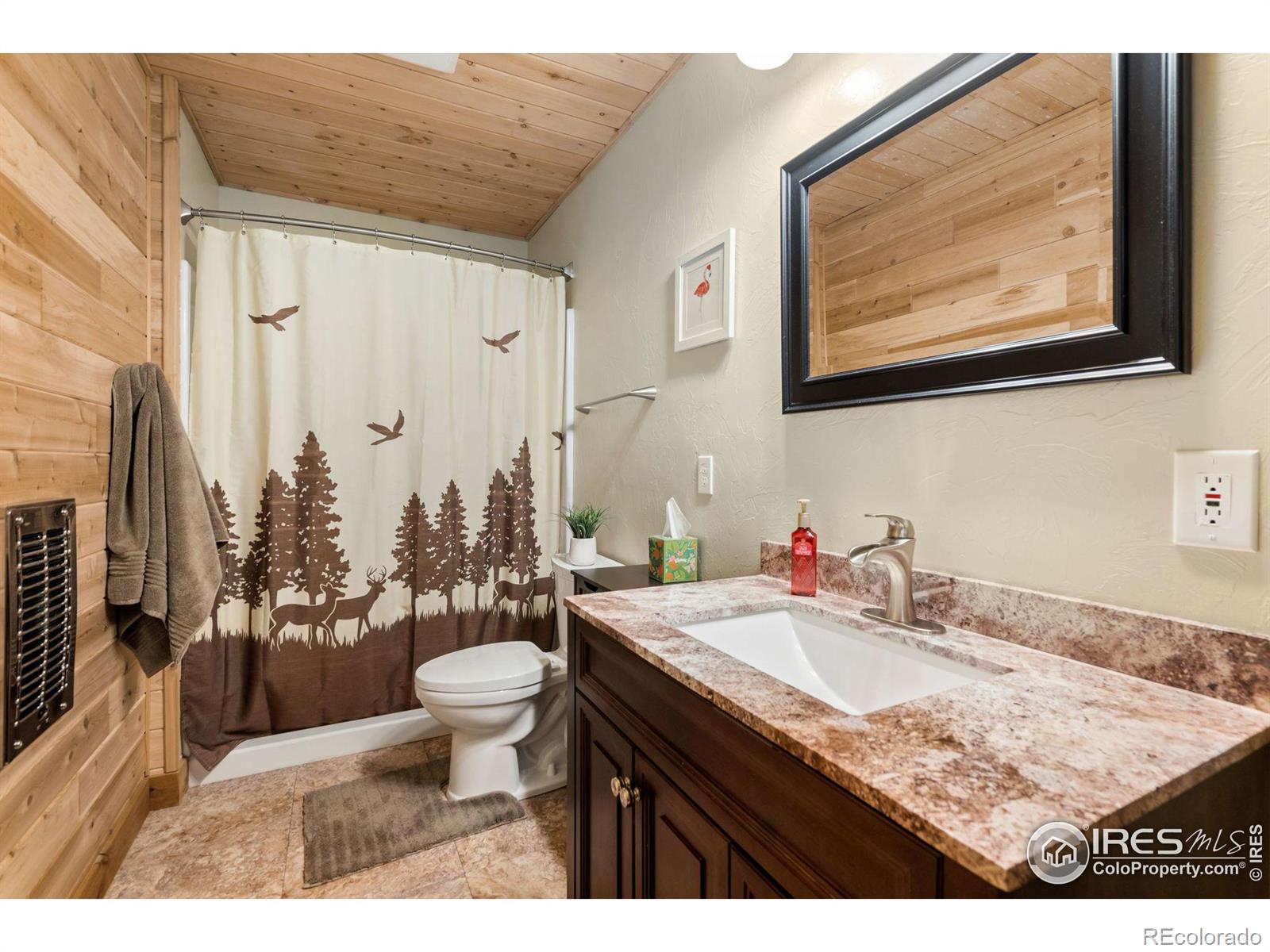 MLS Image #25 for 1121  osage trail,red feather lakes, Colorado