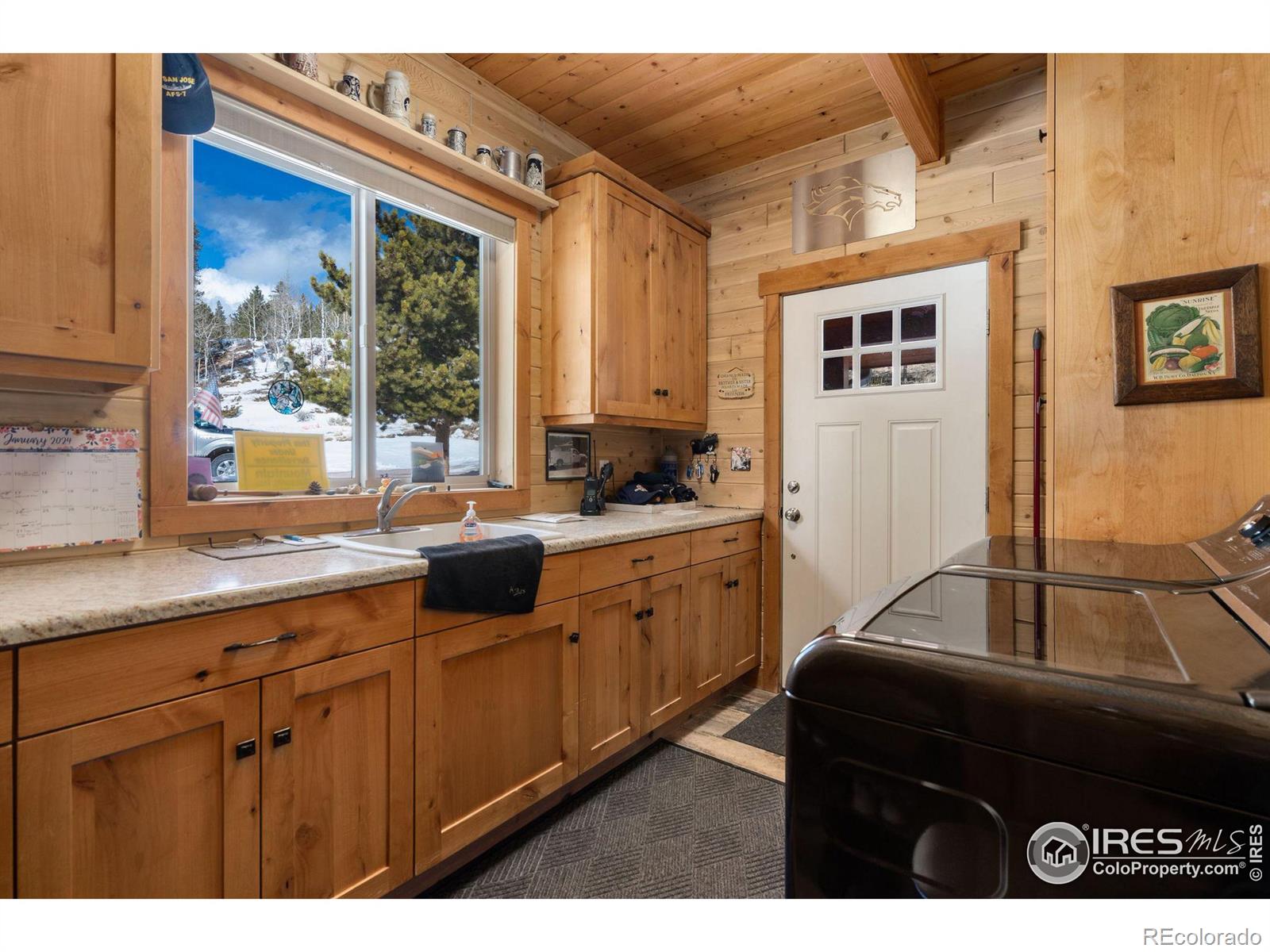 MLS Image #29 for 1121  osage trail,red feather lakes, Colorado