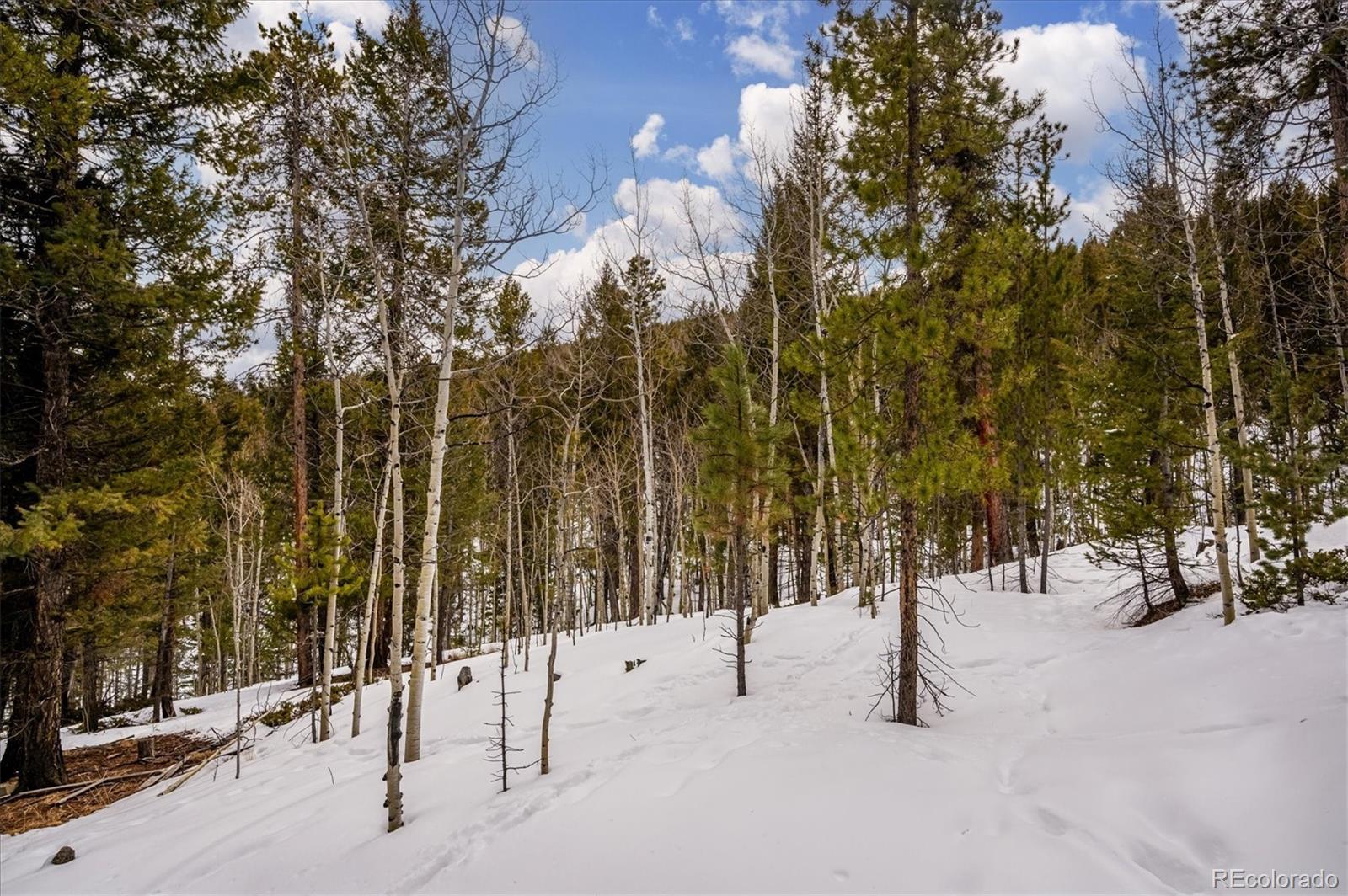 MLS Image #23 for 1096 s pine drive,bailey, Colorado