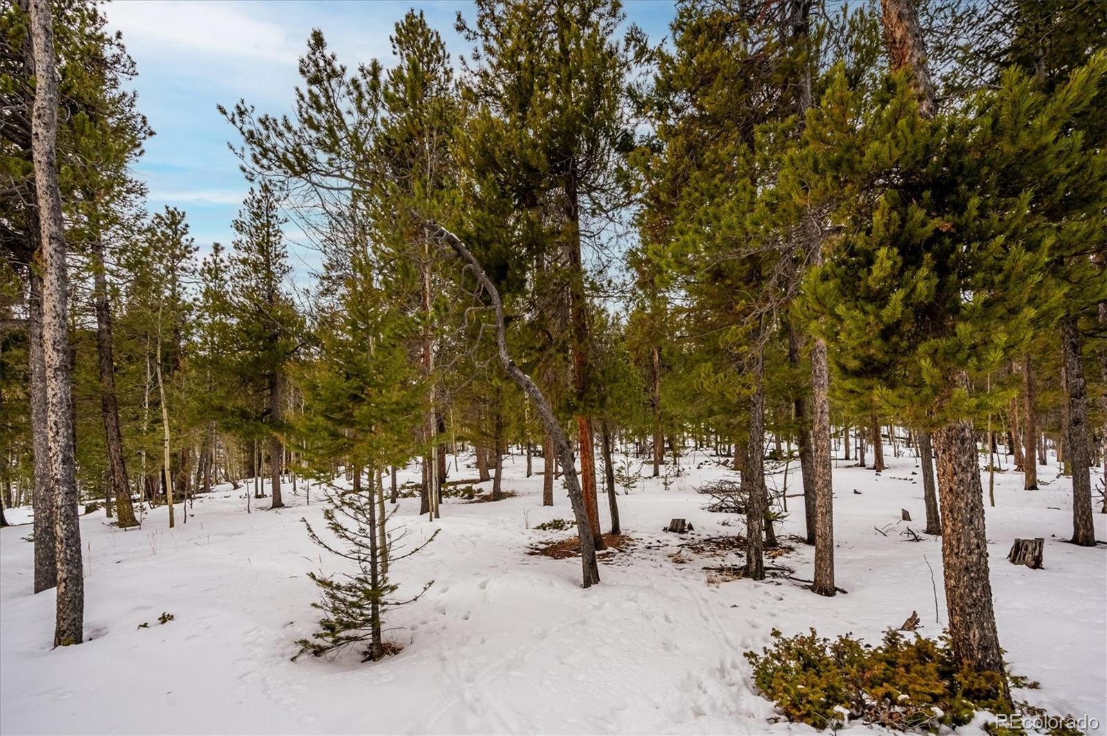 MLS Image #24 for 1096 s pine drive,bailey, Colorado