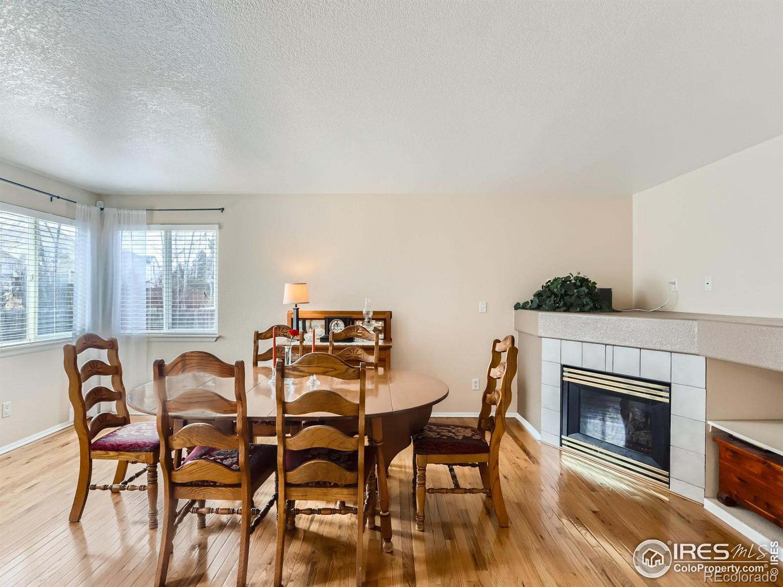 MLS Image #6 for 1121  woodside road,longmont, Colorado