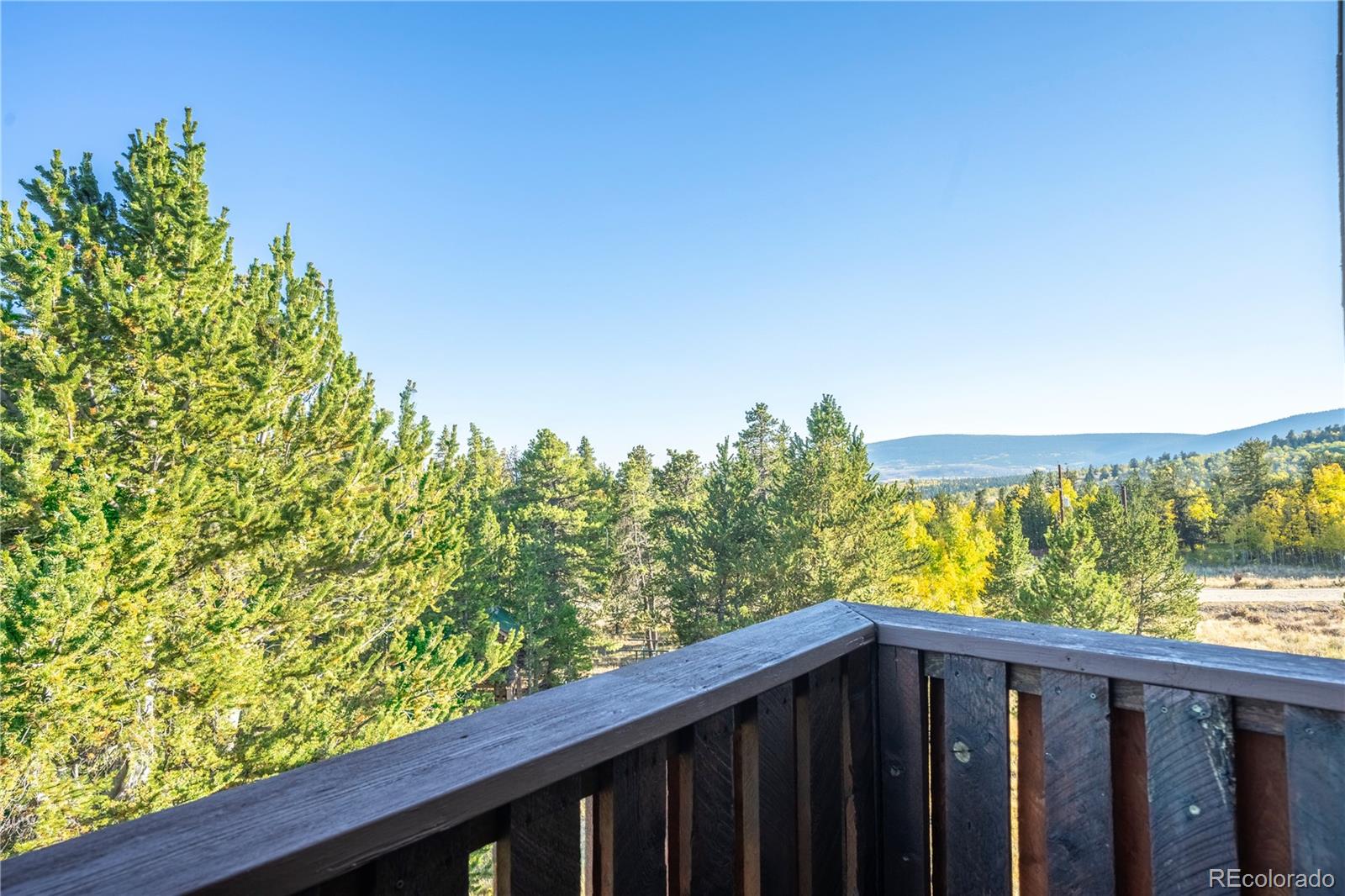 MLS Image #25 for 702  wild rye road,fairplay, Colorado