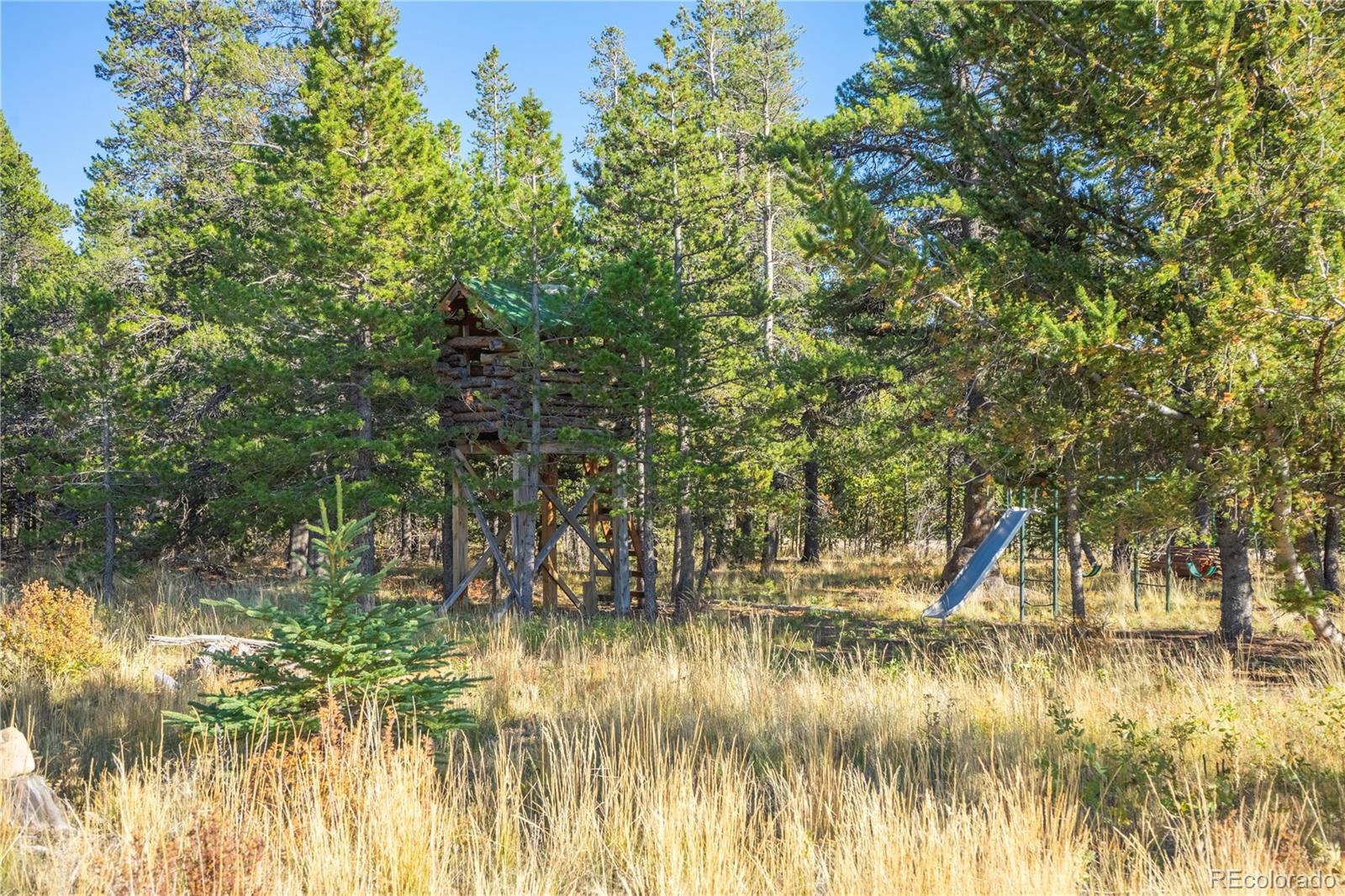 MLS Image #28 for 702  wild rye road,fairplay, Colorado