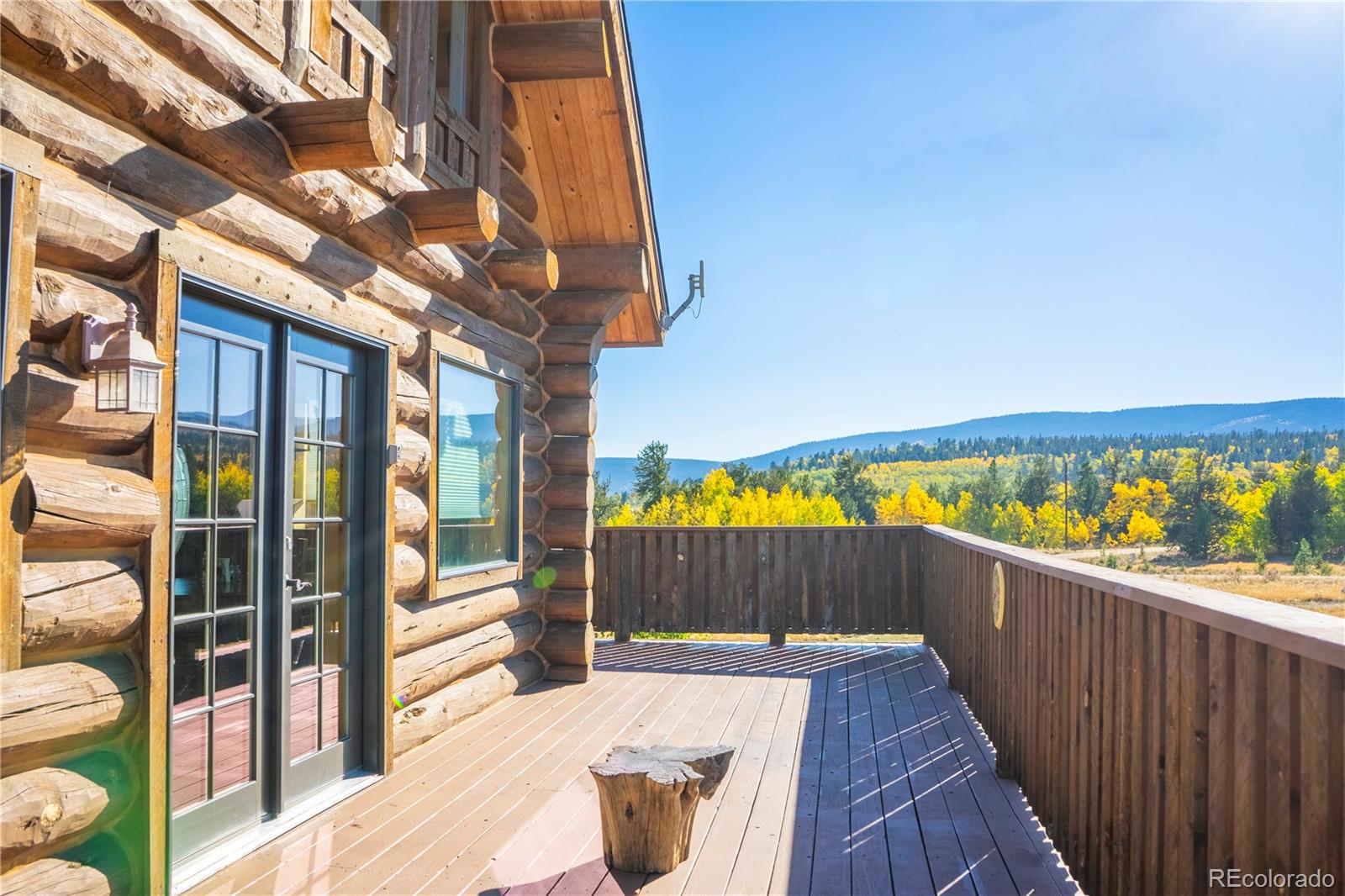 MLS Image #3 for 702  wild rye road,fairplay, Colorado