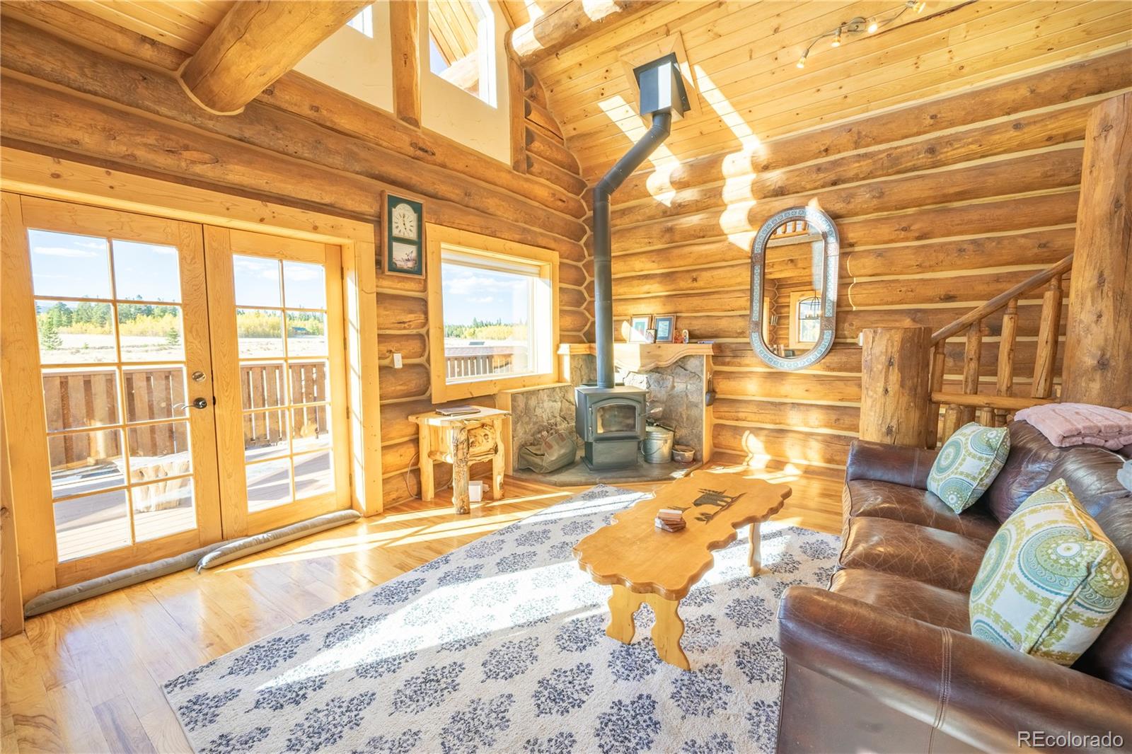 MLS Image #7 for 702  wild rye road,fairplay, Colorado