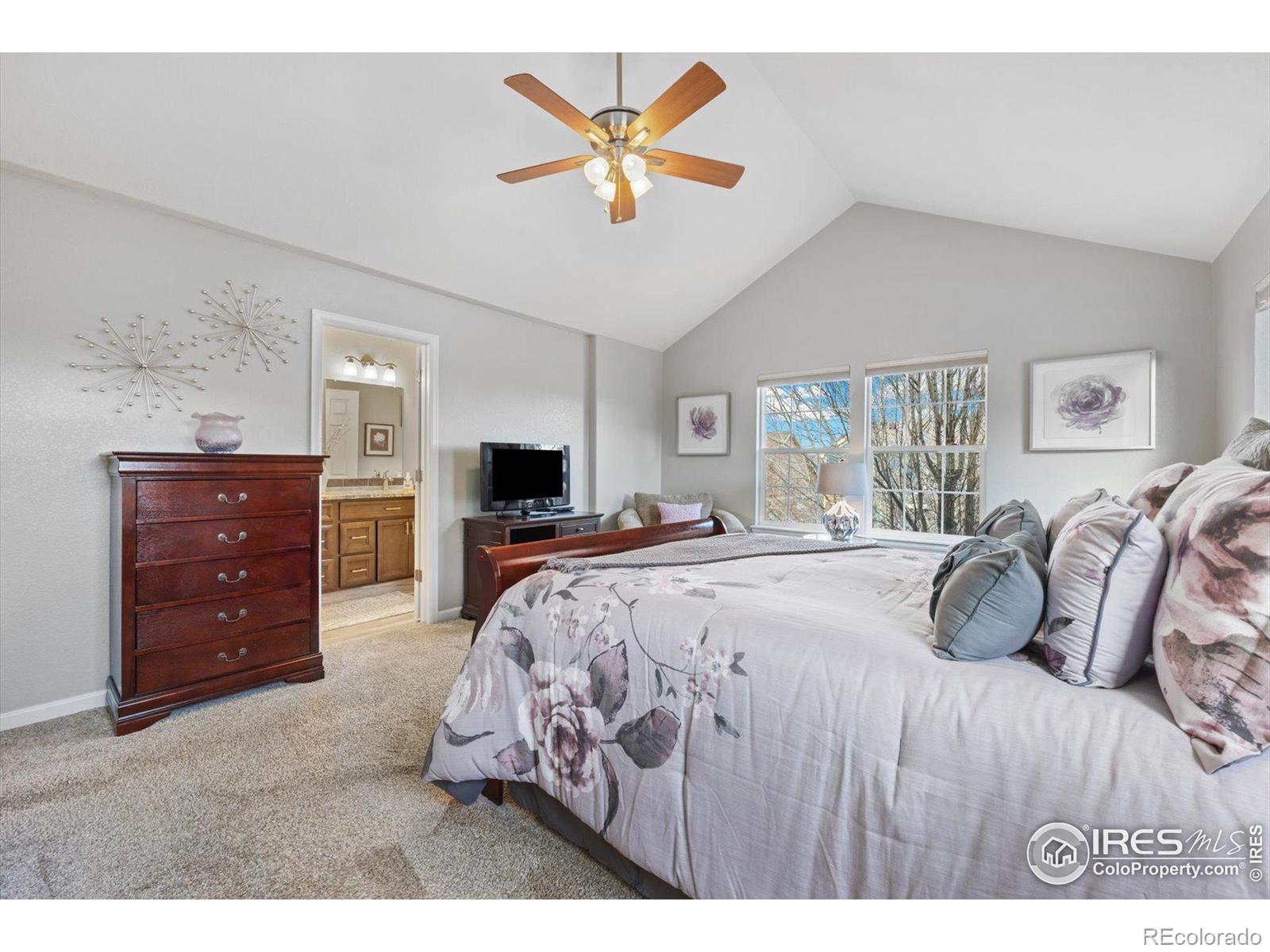 MLS Image #17 for 2225  harmony park drive,westminster, Colorado