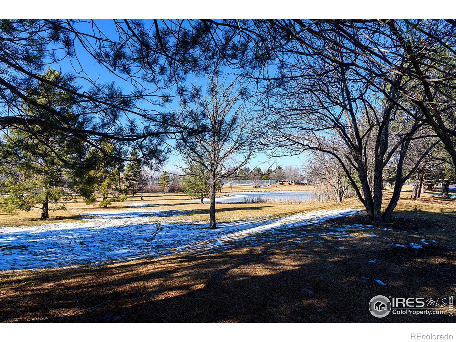 MLS Image #10 for 401 w troutman parkway,fort collins, Colorado