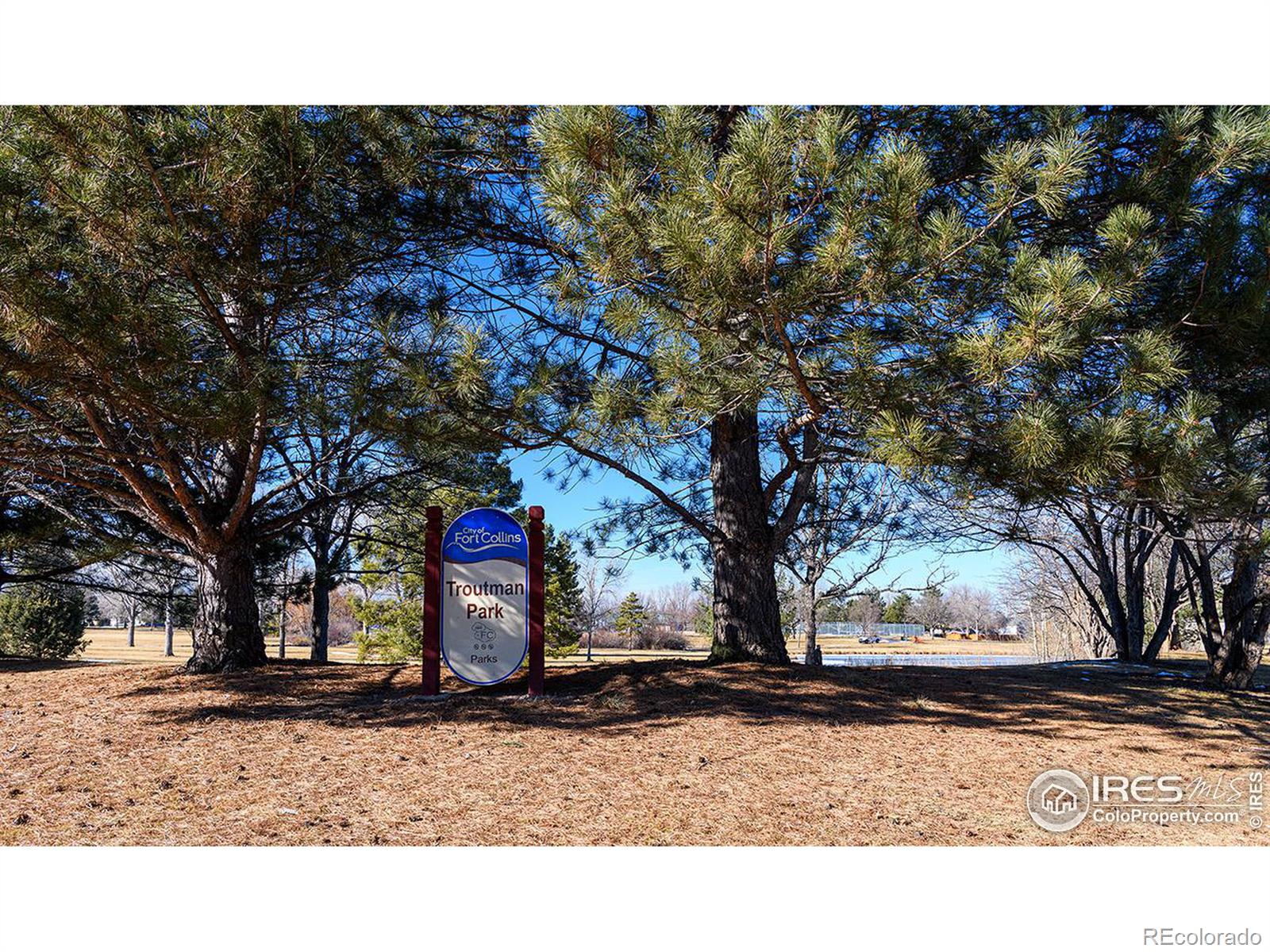 MLS Image #9 for 401 w troutman parkway,fort collins, Colorado
