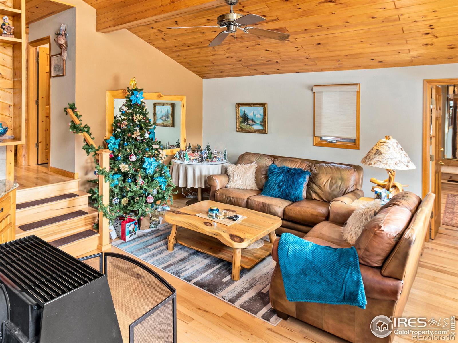 MLS Image #21 for 594  alpine drive,estes park, Colorado