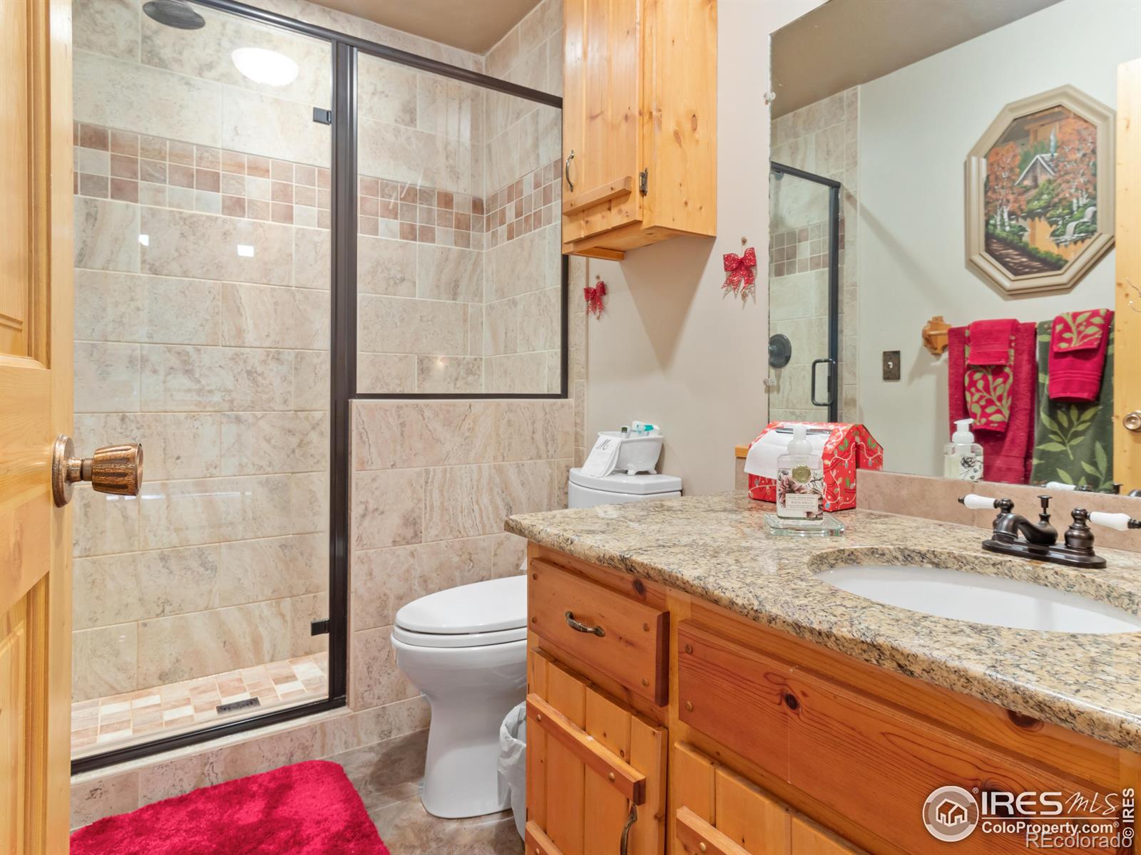 MLS Image #26 for 594  alpine drive,estes park, Colorado