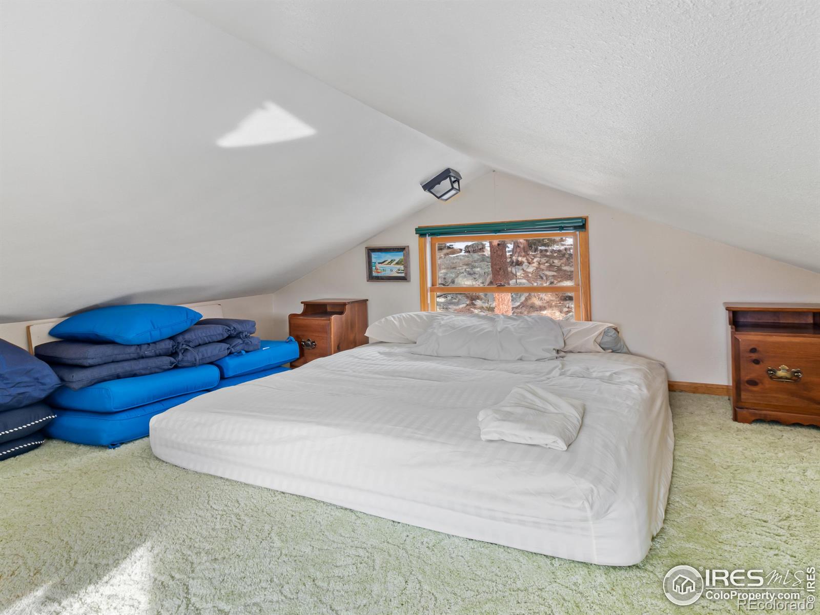 MLS Image #33 for 594  alpine drive,estes park, Colorado