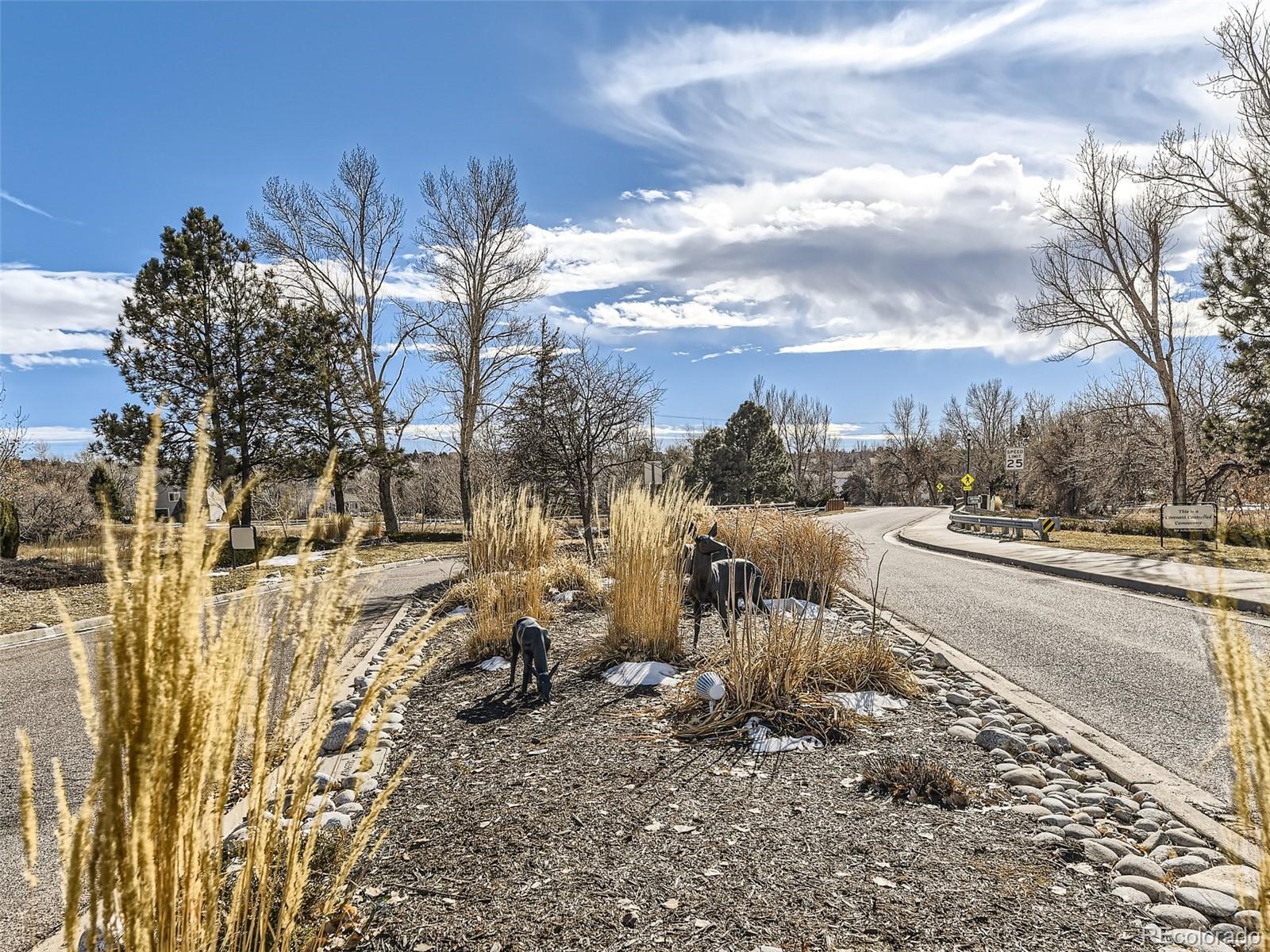 MLS Image #27 for 11046  cannonade lane,parker, Colorado