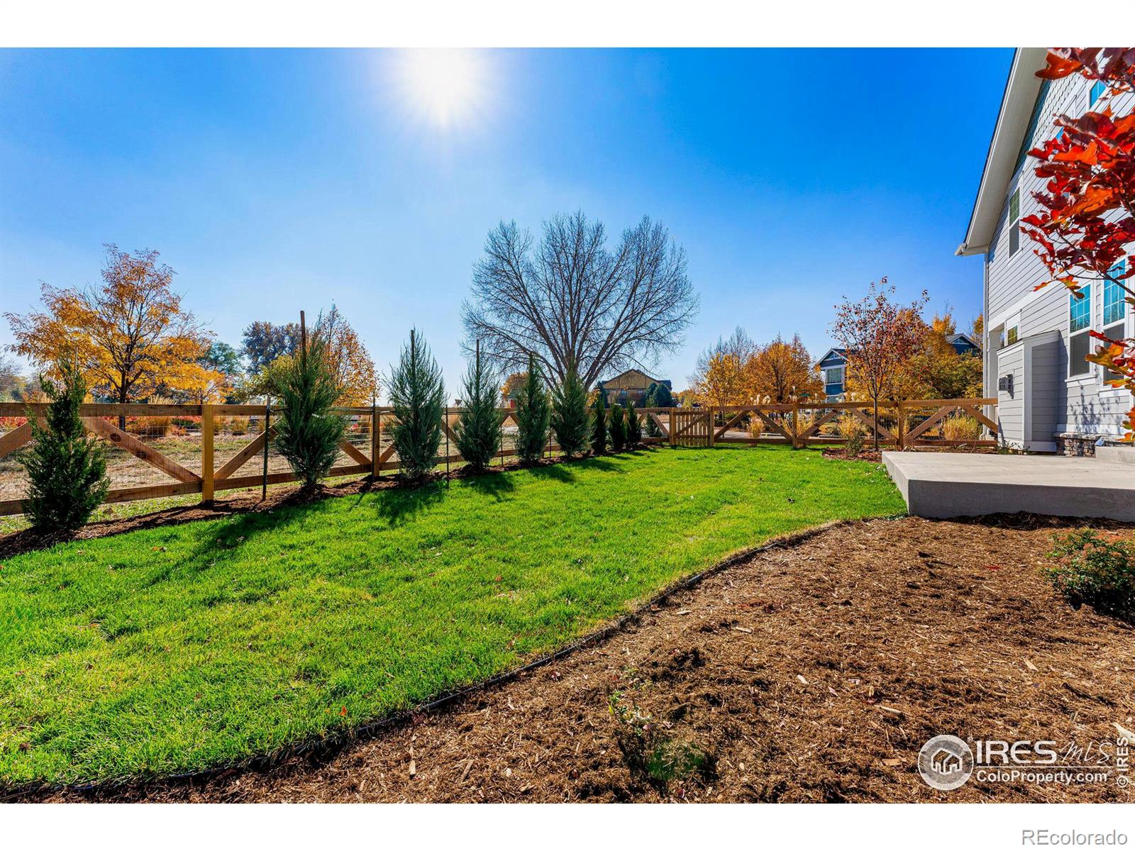 MLS Image #39 for 1279  washburn avenue,erie, Colorado