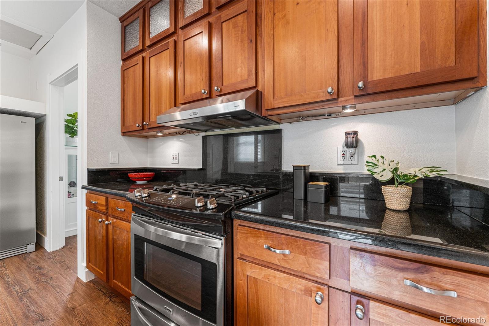 MLS Image #10 for 2157 s clarkson street,denver, Colorado