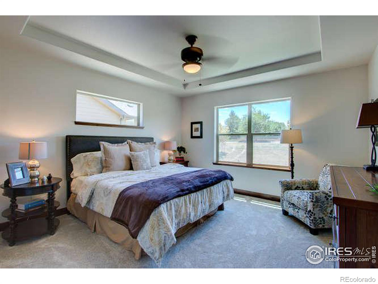 MLS Image #12 for 1136  blue agave court,loveland, Colorado