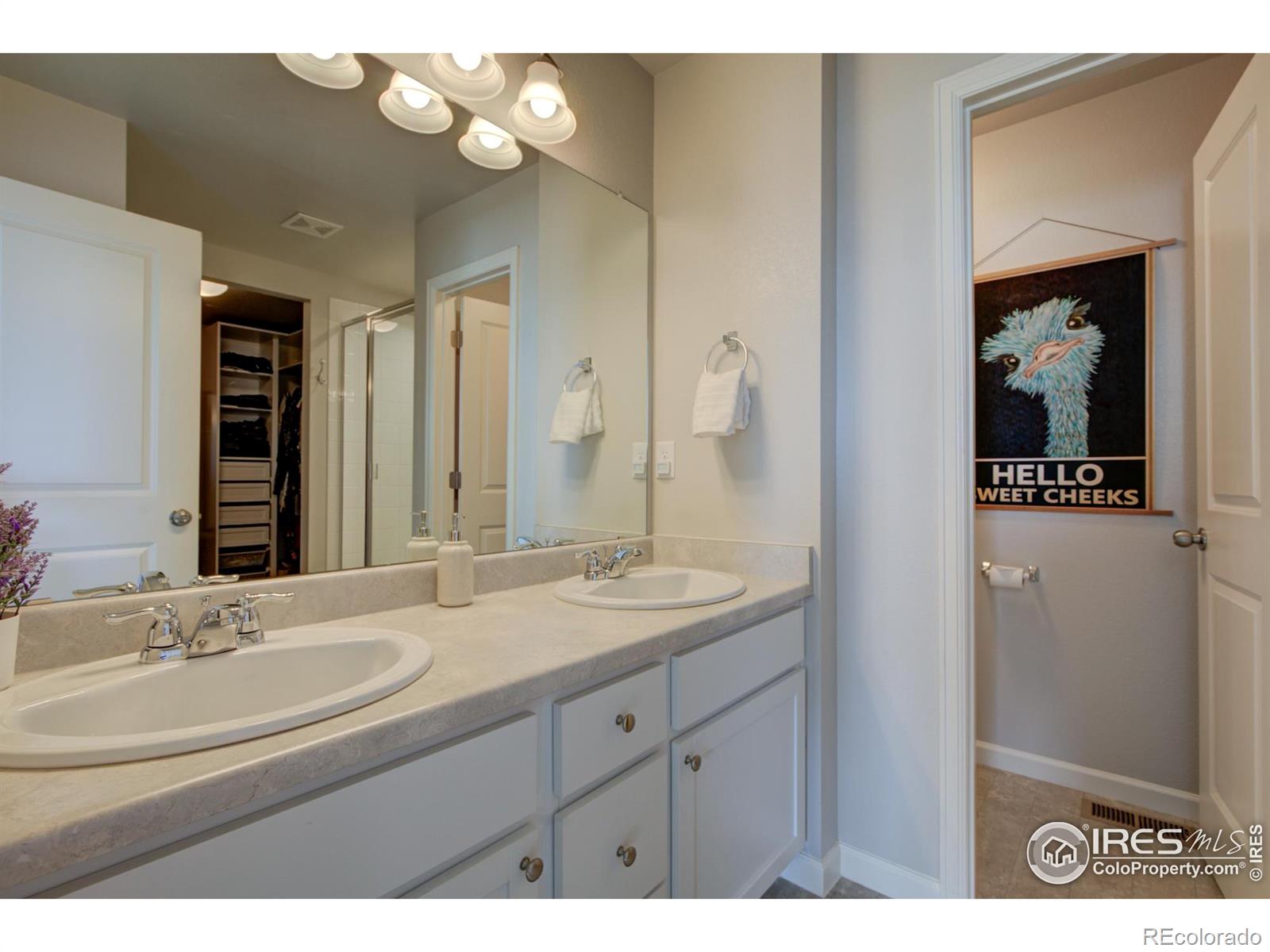 MLS Image #20 for 3189  aries drive,loveland, Colorado