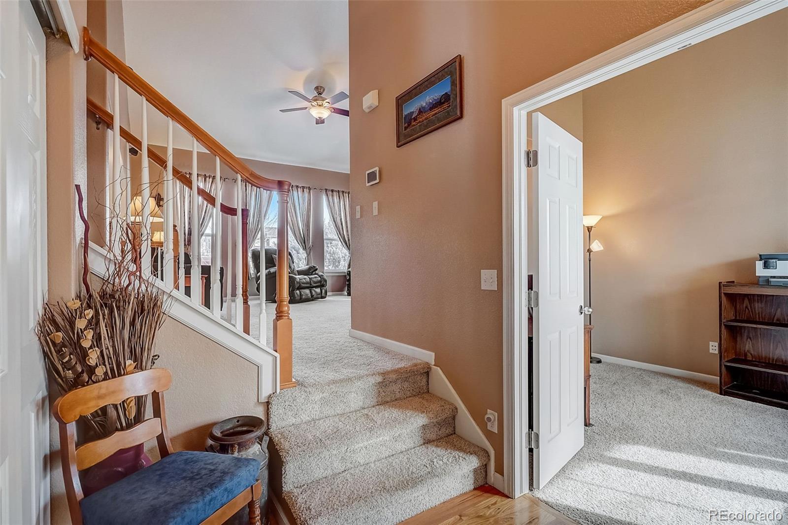 MLS Image #13 for 7740  manston drive,colorado springs, Colorado