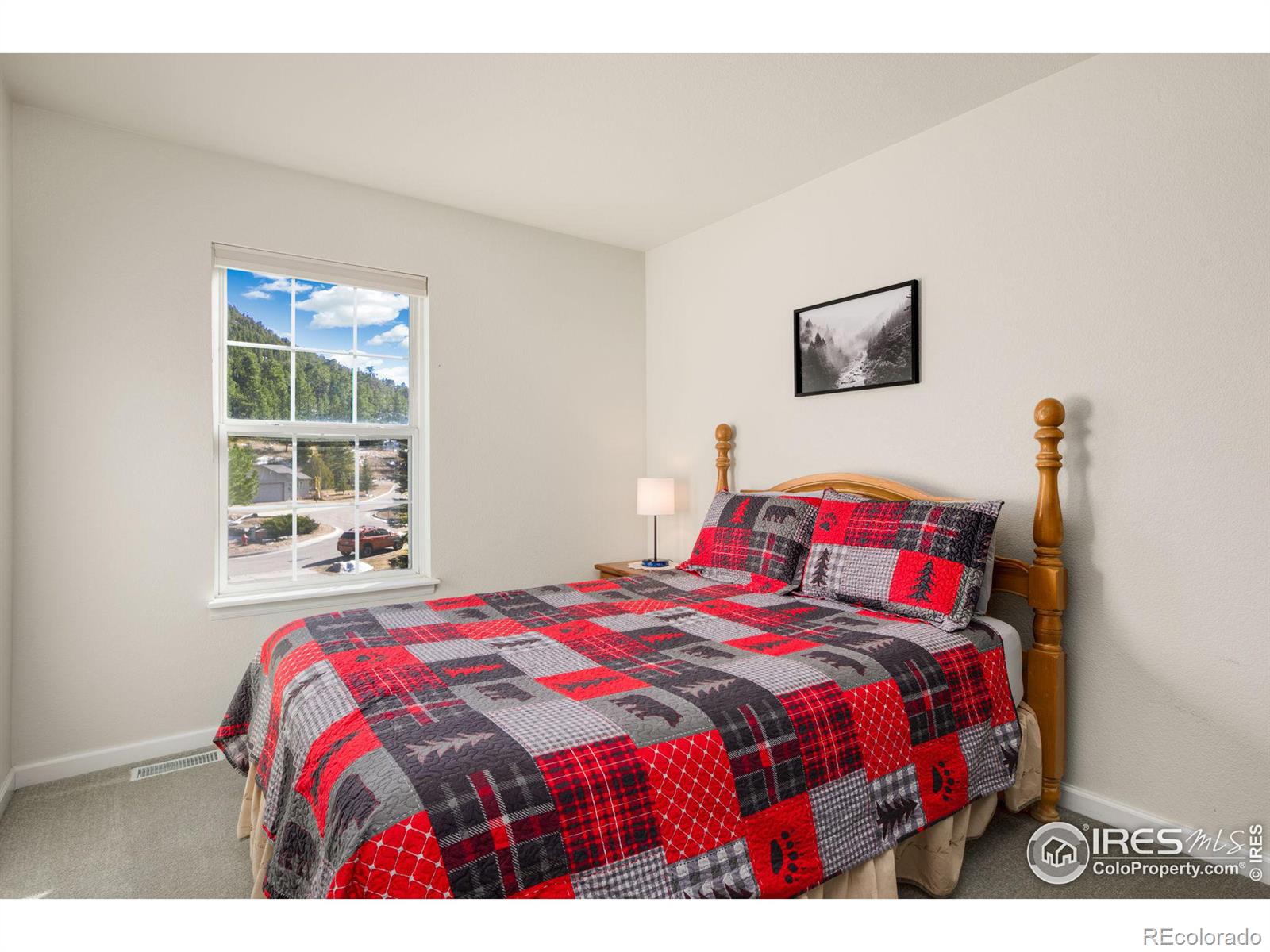 MLS Image #13 for 1615  brook court,estes park, Colorado