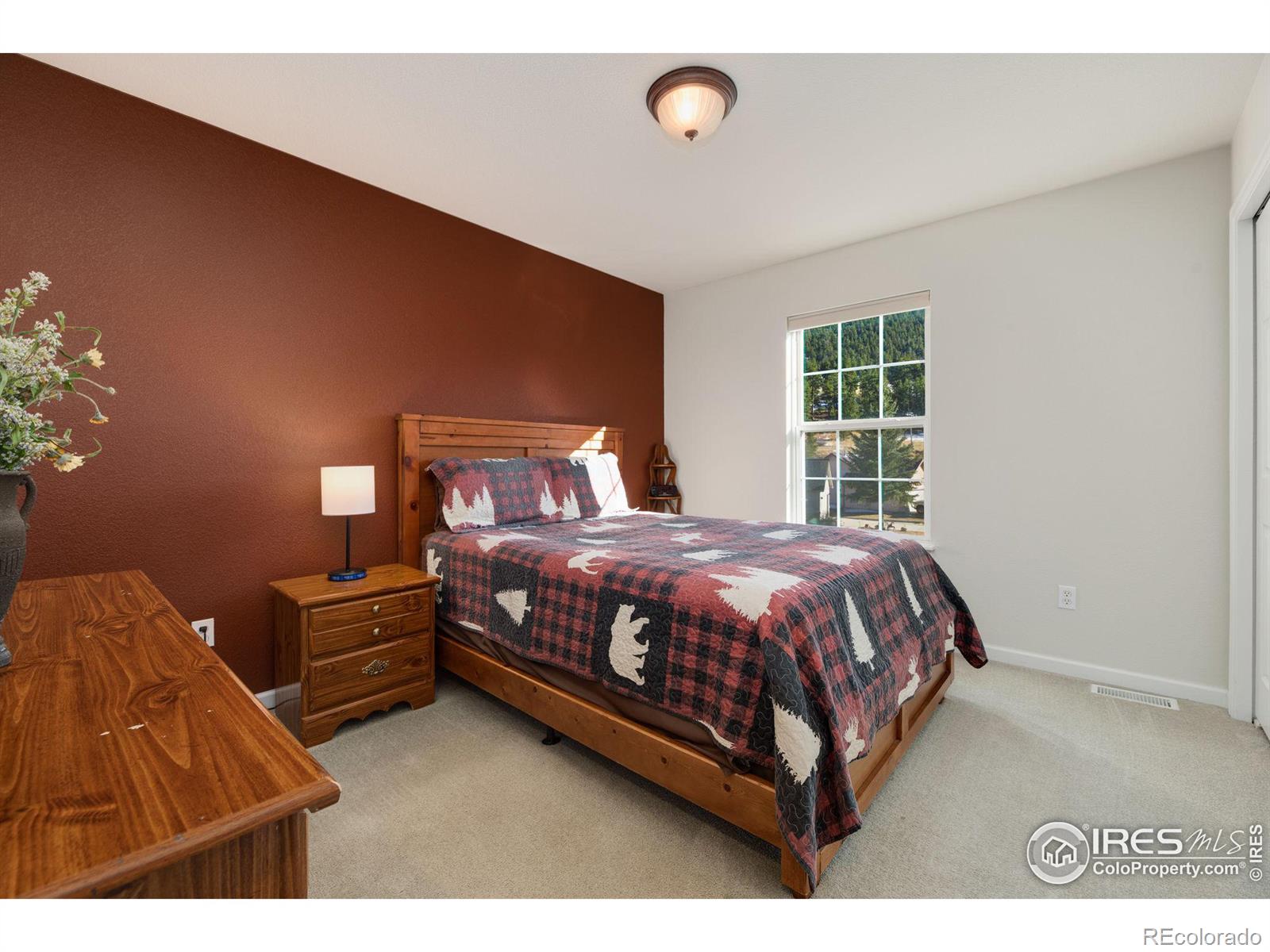 MLS Image #15 for 1615  brook court,estes park, Colorado