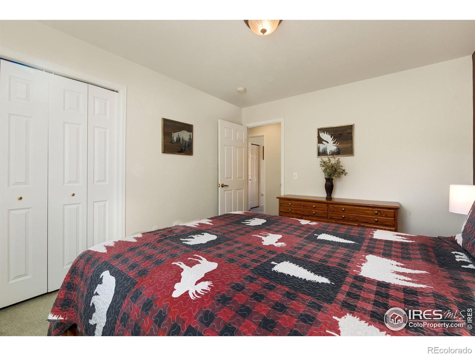 MLS Image #16 for 1615  brook court,estes park, Colorado