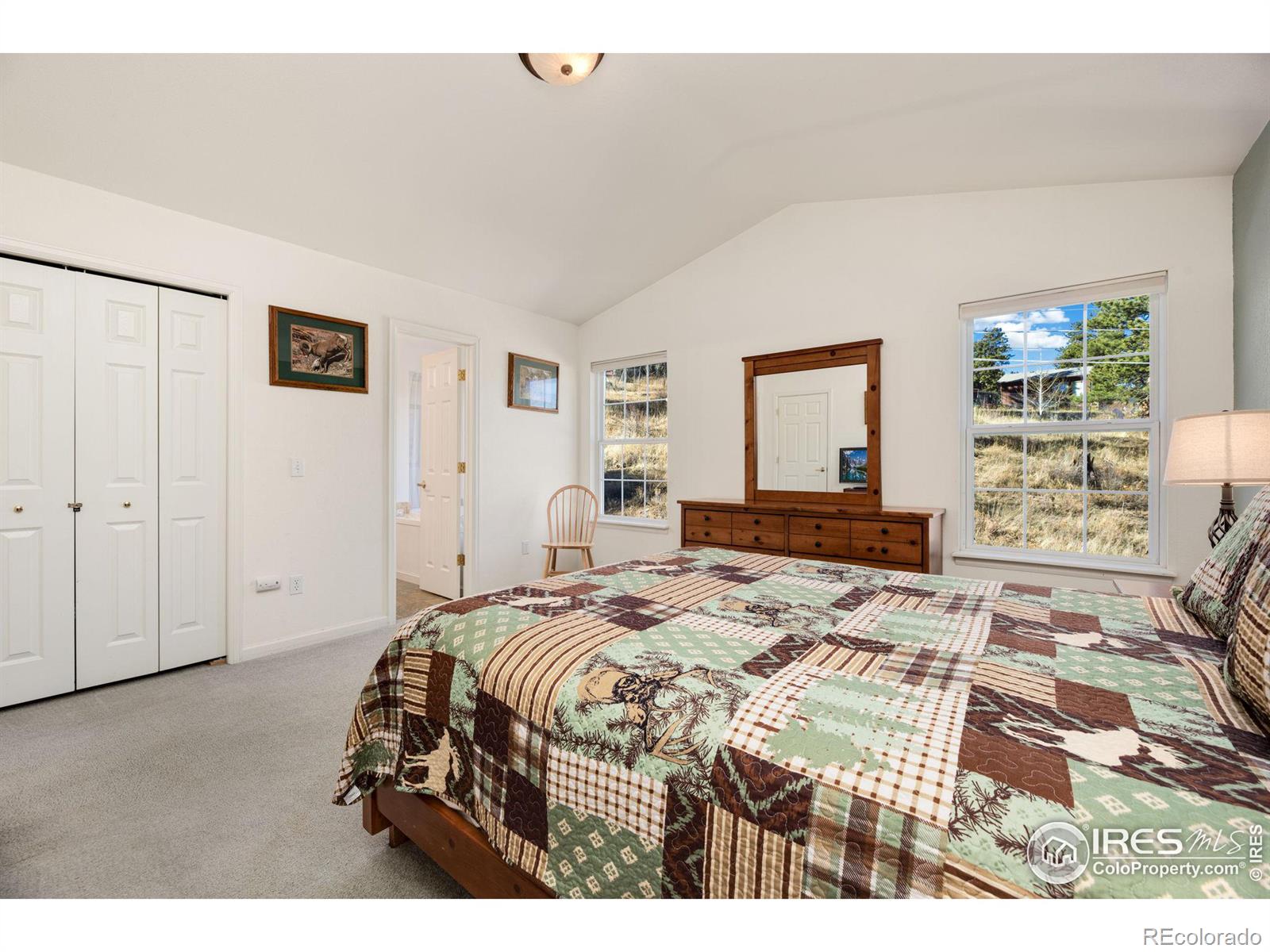 MLS Image #17 for 1615  brook court,estes park, Colorado