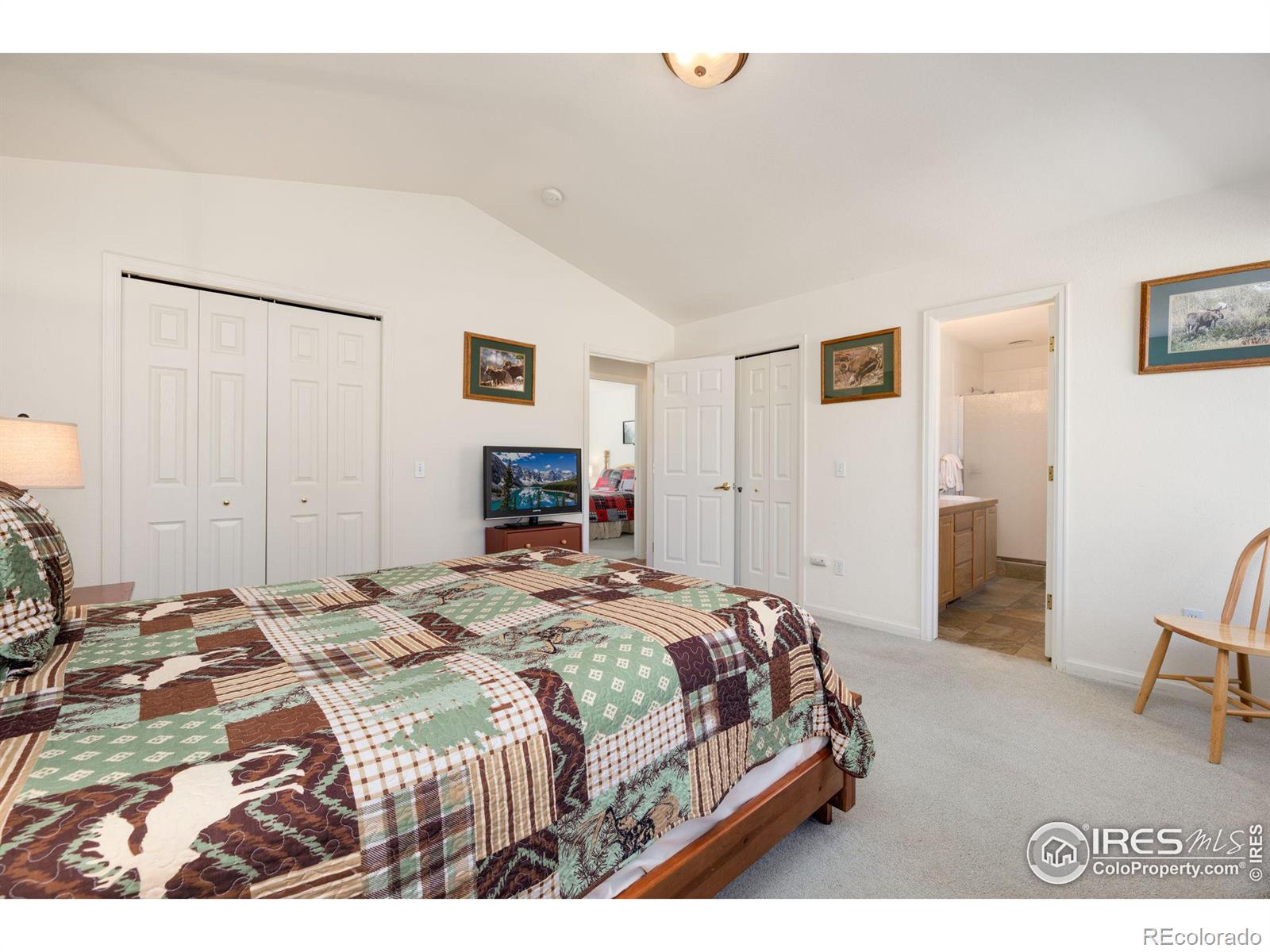 MLS Image #18 for 1615  brook court,estes park, Colorado