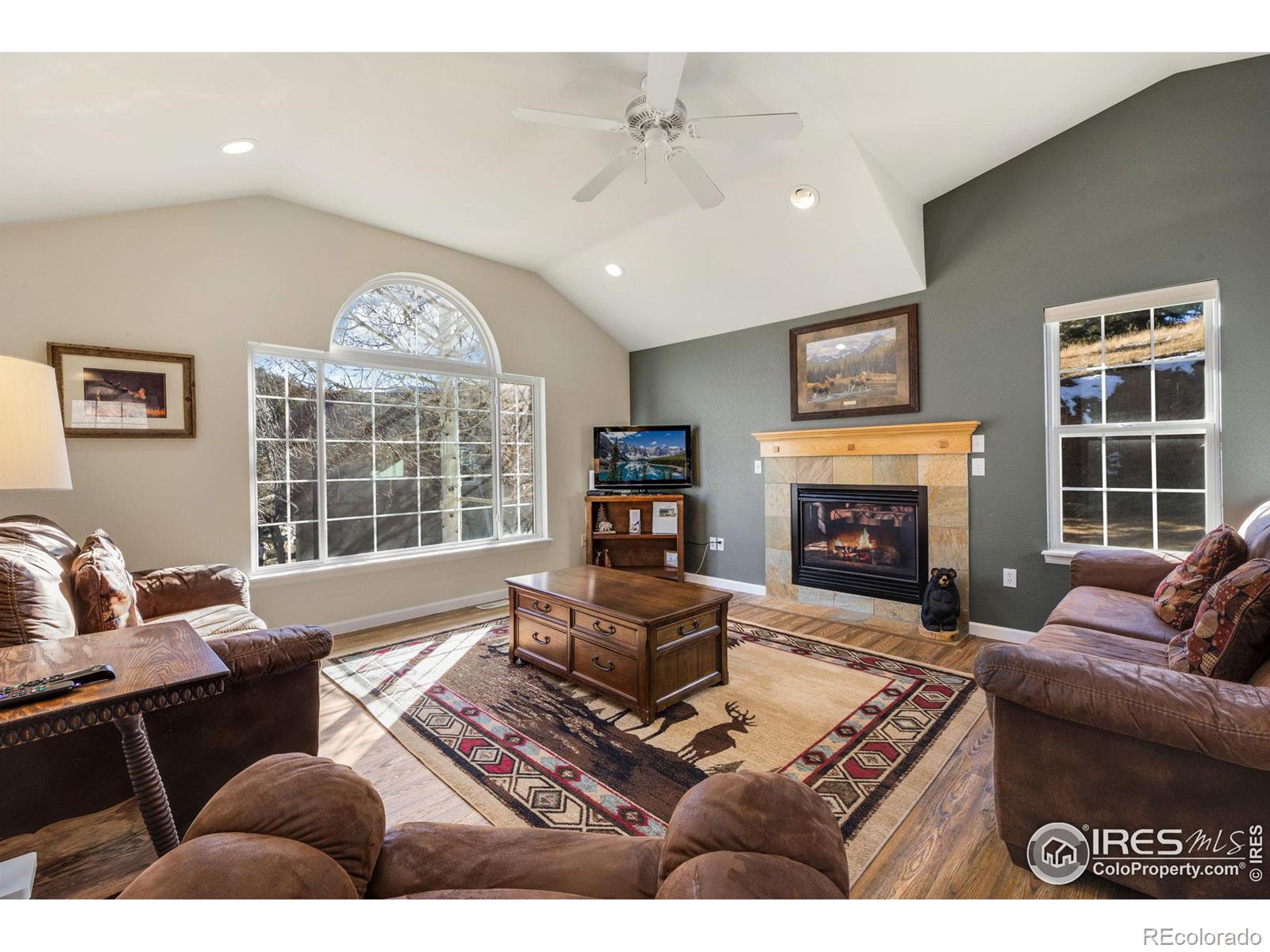 MLS Image #2 for 1615  brook court,estes park, Colorado